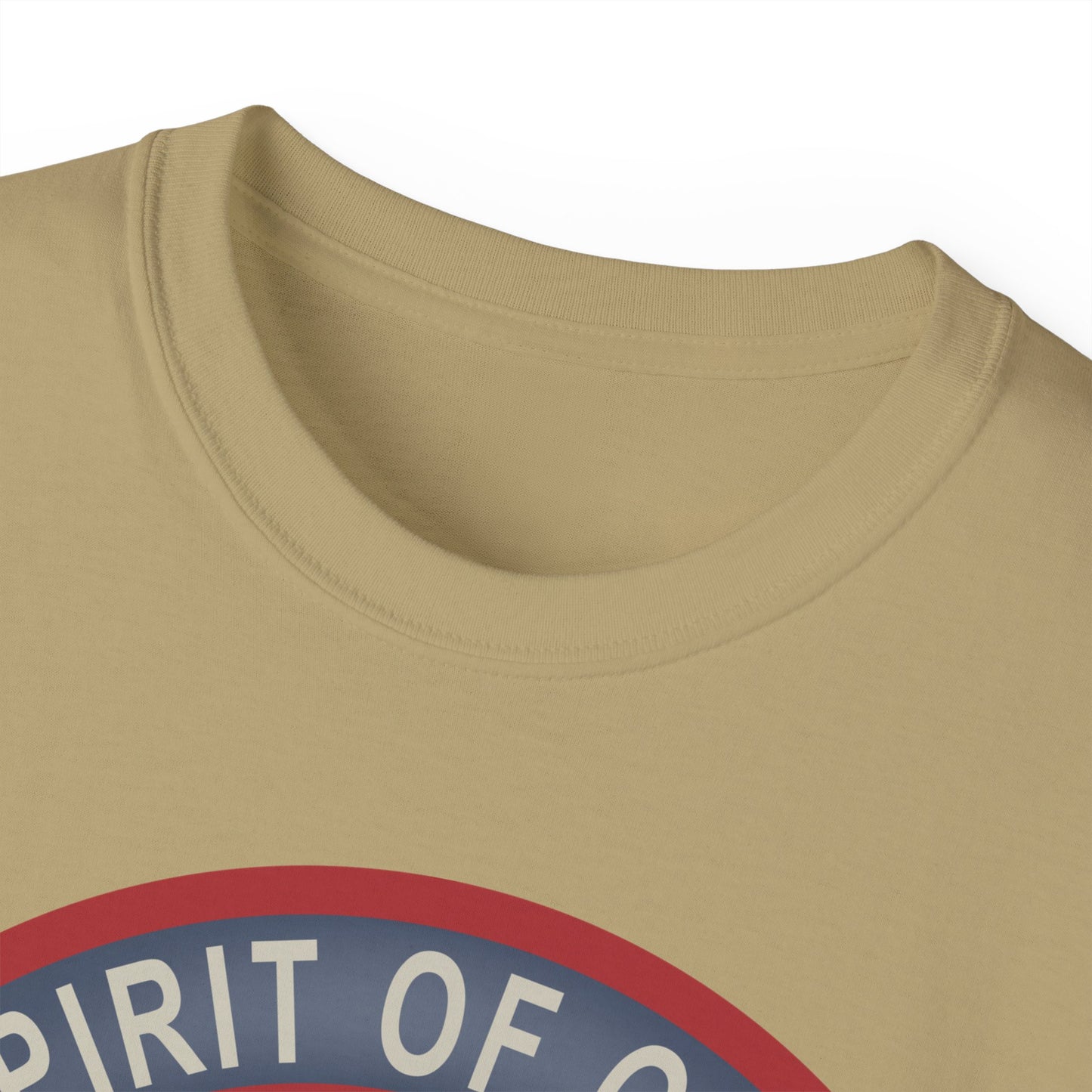 Unisex Ultra Cotton Tee - USAF - B2 - Spirit of Ohio - Stealth Bomber wo txt X 300