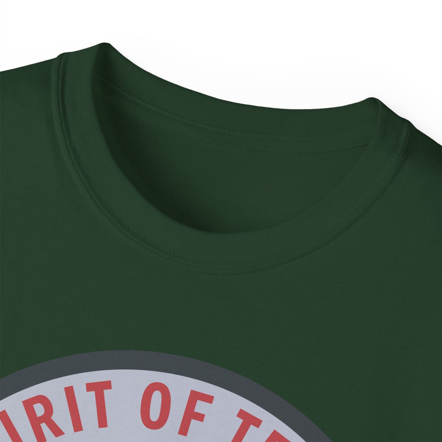 Unisex Ultra Cotton Tee - USAF - B2 - Spirit of Texas - Stealth Bomber wo txt X 300