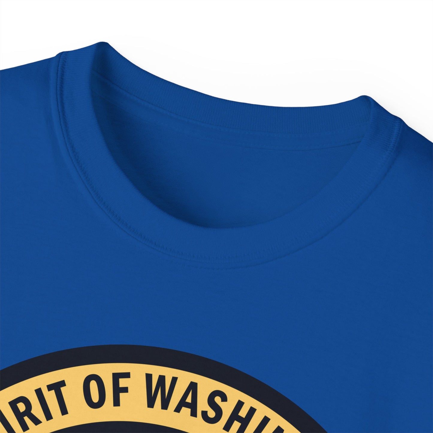 Unisex Ultra Cotton Tee - USAF - B2 - Spirit of Washington - Stealth Bomber wo txt X 300