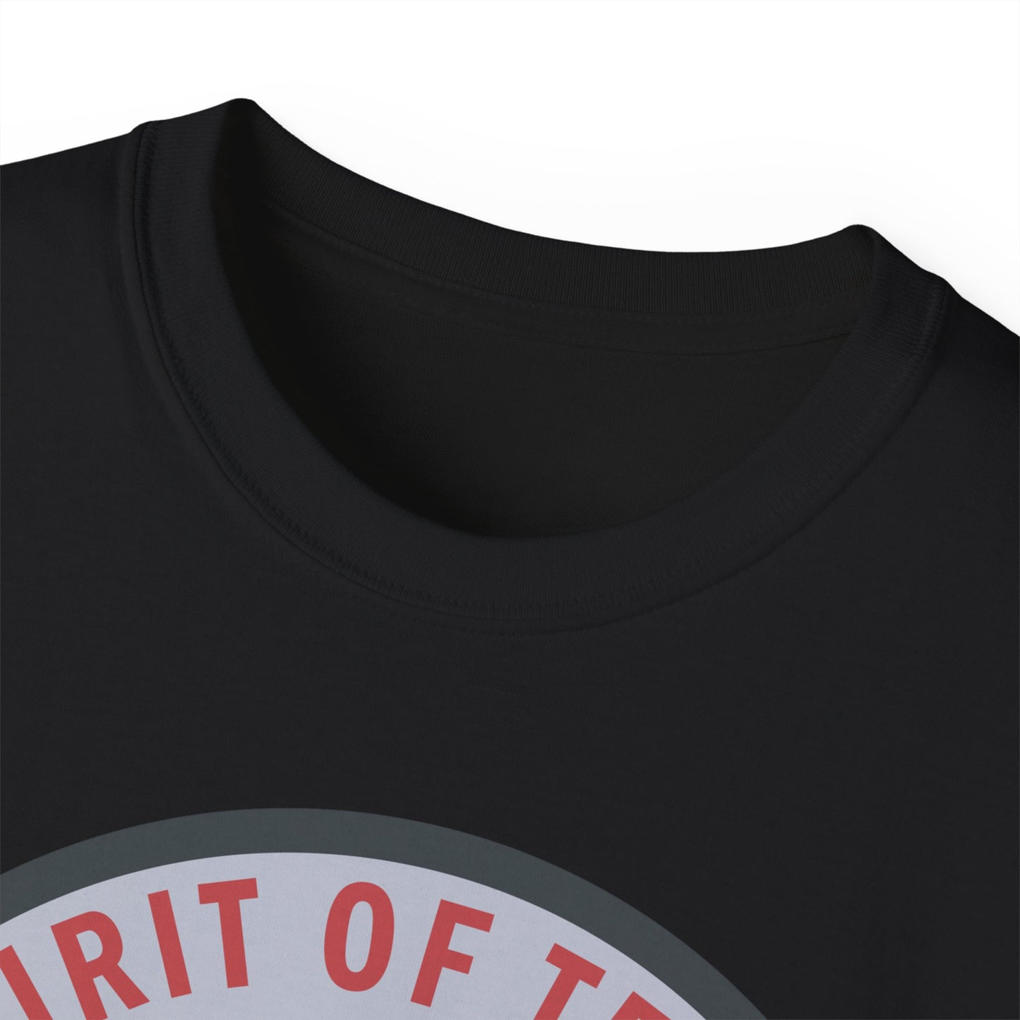 Unisex Ultra Cotton Tee - USAF - B2 - Spirit of Texas - Stealth Bomber wo txt X 300