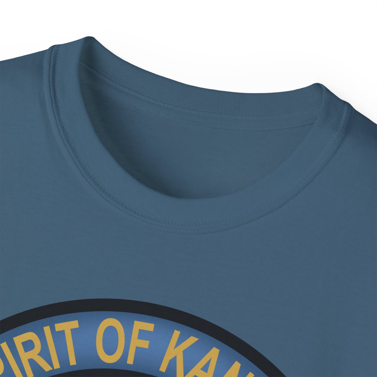 Unisex Ultra Cotton Tee - USAF - B2 - Spirit of Kansas - Stealth Bomber wo txt X 300