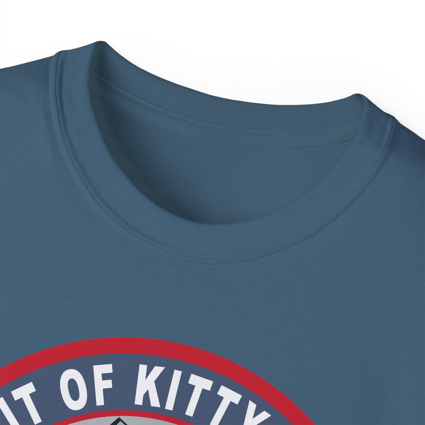 Unisex Ultra Cotton Tee -USAF - B2 - Spirit of Kitty Hawk - Stealth Bomber wo txt X 300