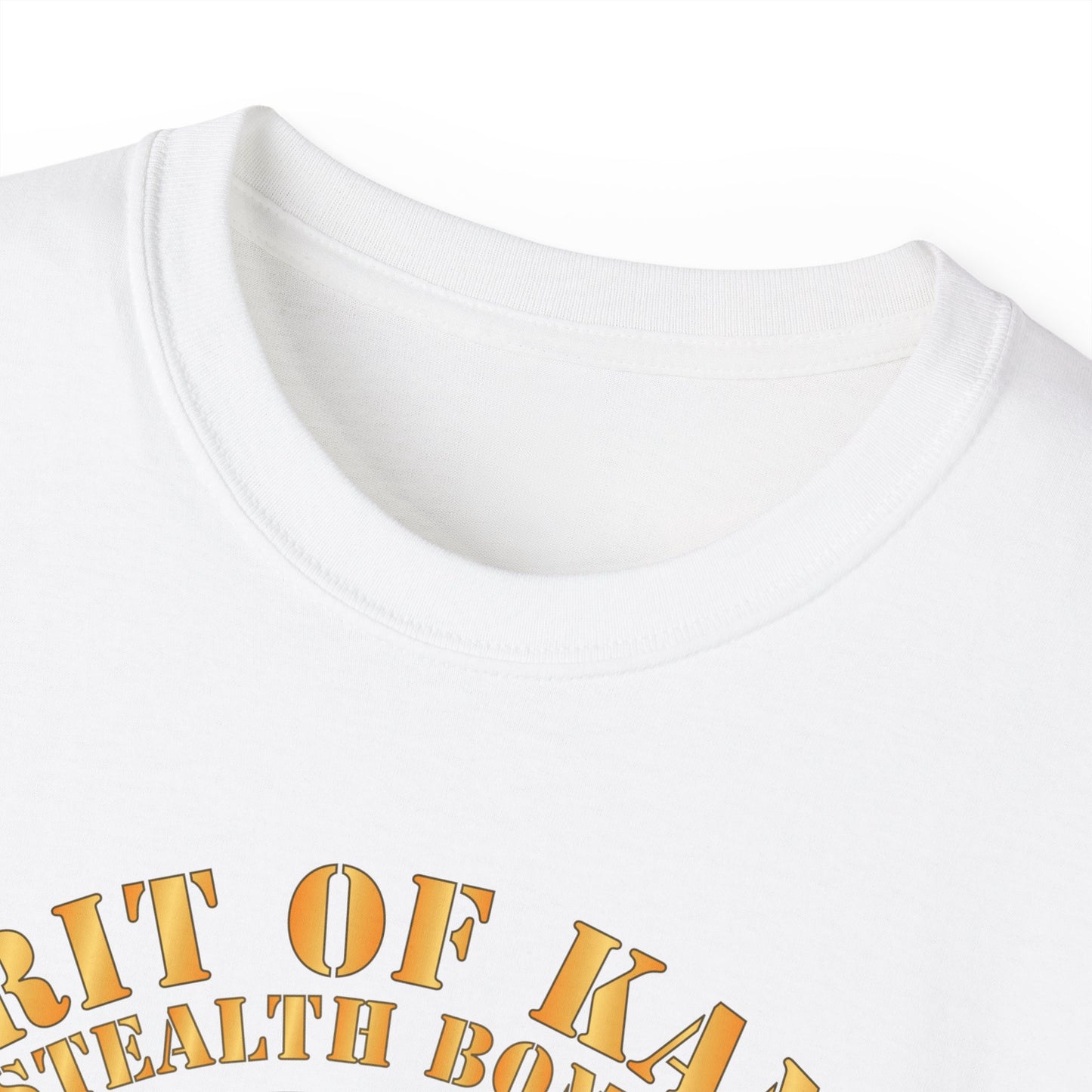 Unisex Ultra Cotton Tee -USAF - B2 - Spirit of Kansas - Stealth Bomber X 300