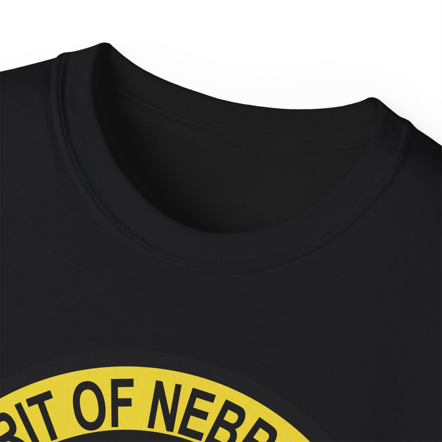 Unisex Ultra Cotton Tee - USAF - B2 - Spirit of Nebraska - Stealth Bomber wo txt X 300