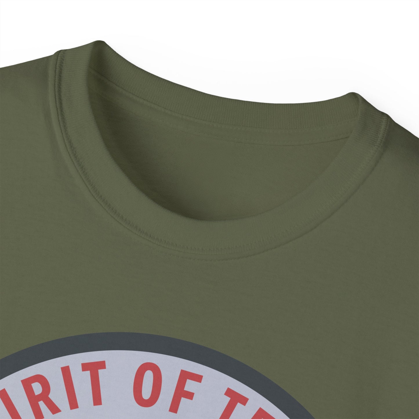 Unisex Ultra Cotton Tee - USAF - B2 - Spirit of Texas - Stealth Bomber wo txt X 300
