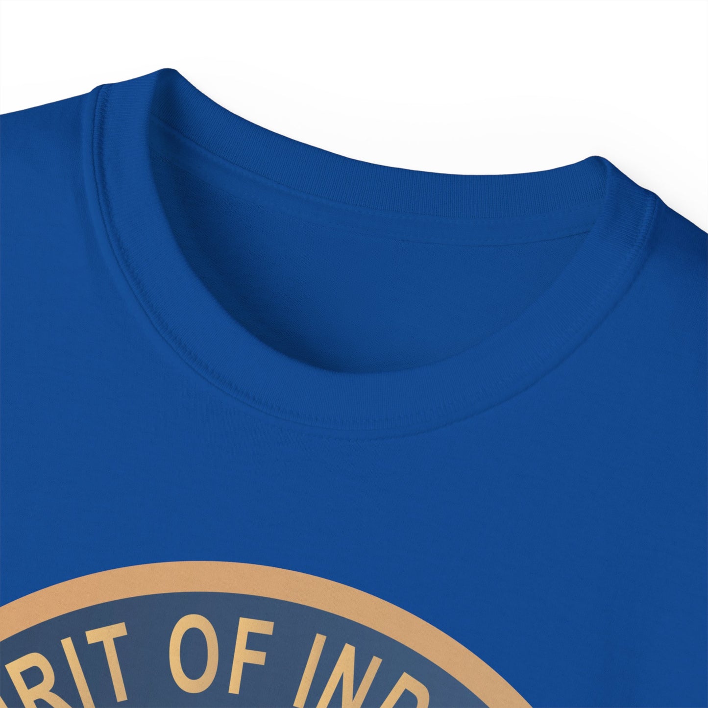 Unisex Ultra Cotton Tee - USAF - B2 - Spirit of Indiana - Stealth Bomber wo txt X 300