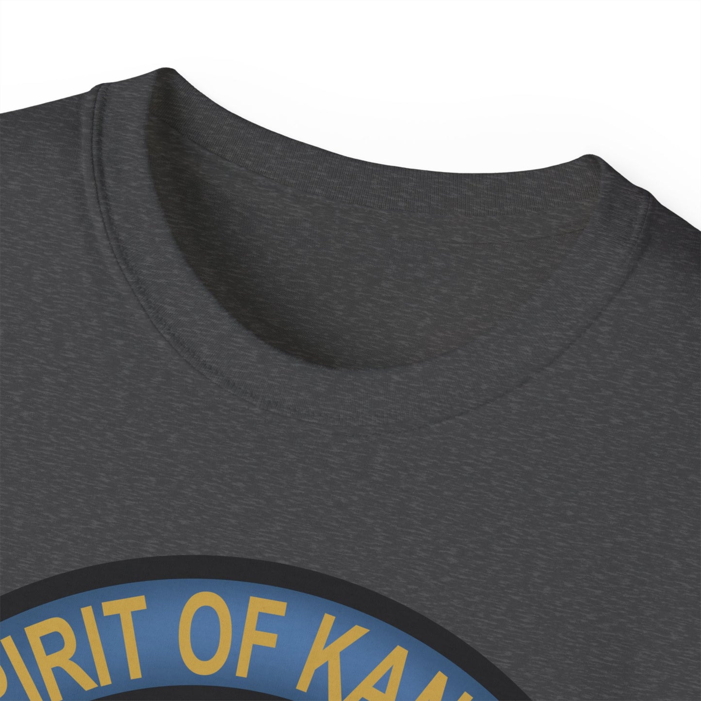 Unisex Ultra Cotton Tee - USAF - B2 - Spirit of Kansas - Stealth Bomber wo txt X 300