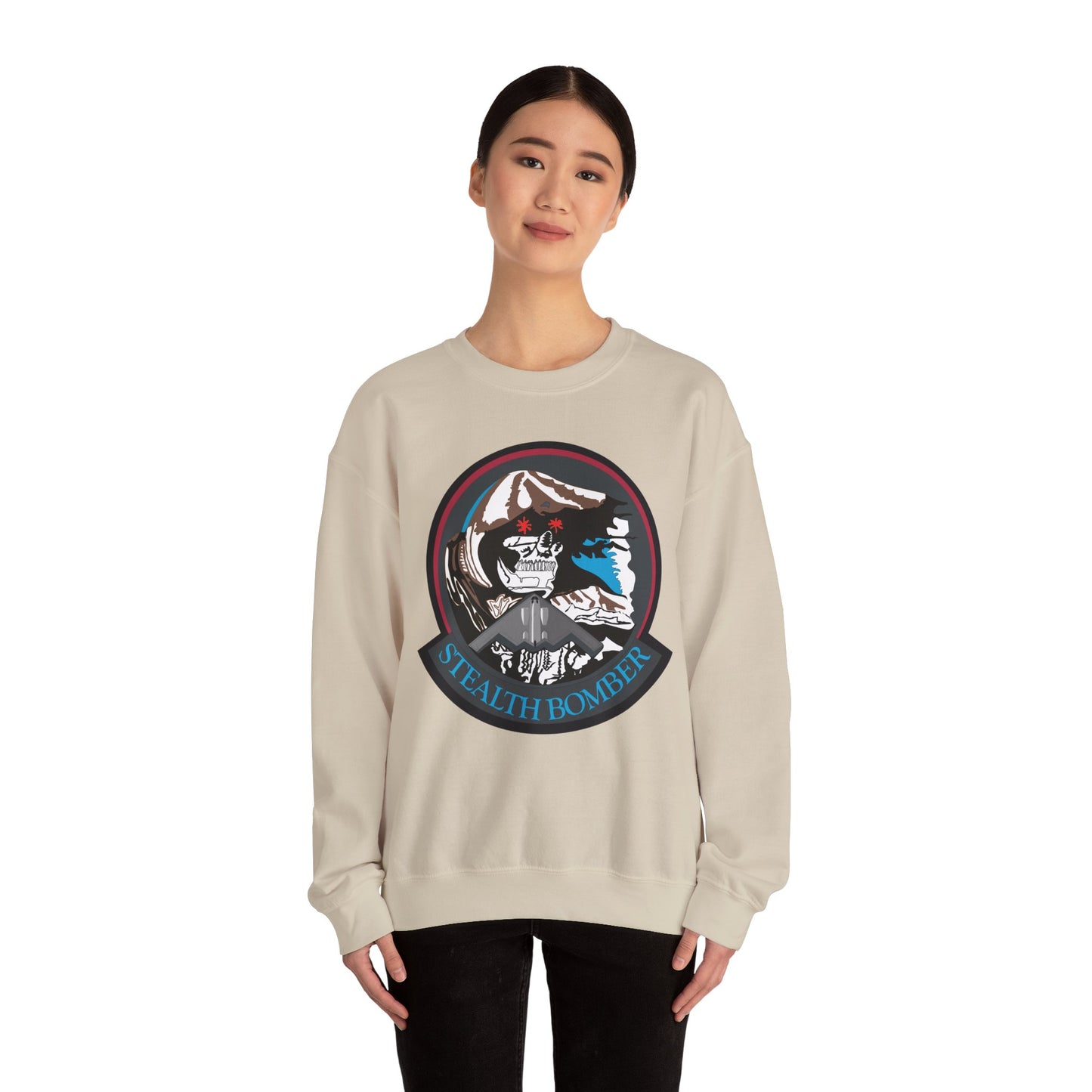 Crewneck Sweatshirt - USAF - B2 - Grim Reaper - Stealth Bomber wo txt X 300