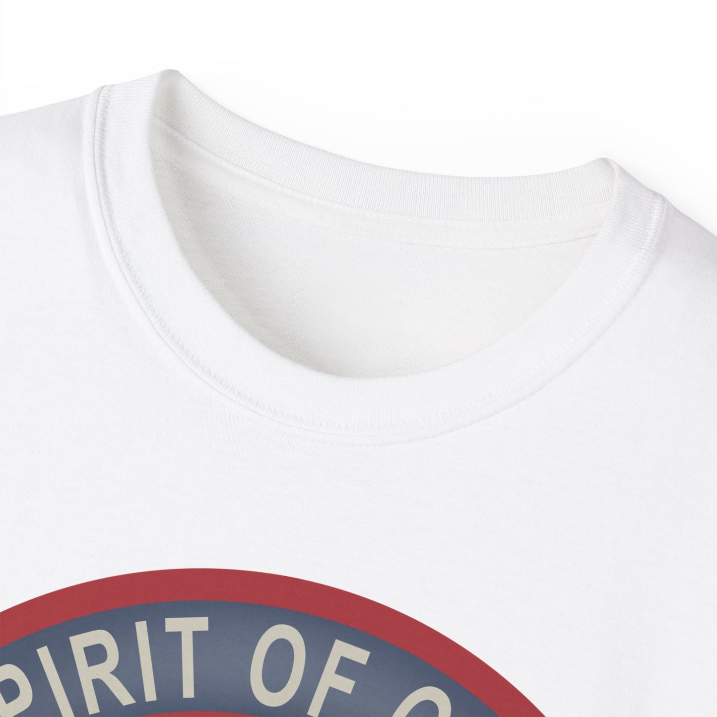Unisex Ultra Cotton Tee - USAF - B2 - Spirit of Ohio - Stealth Bomber wo txt X 300