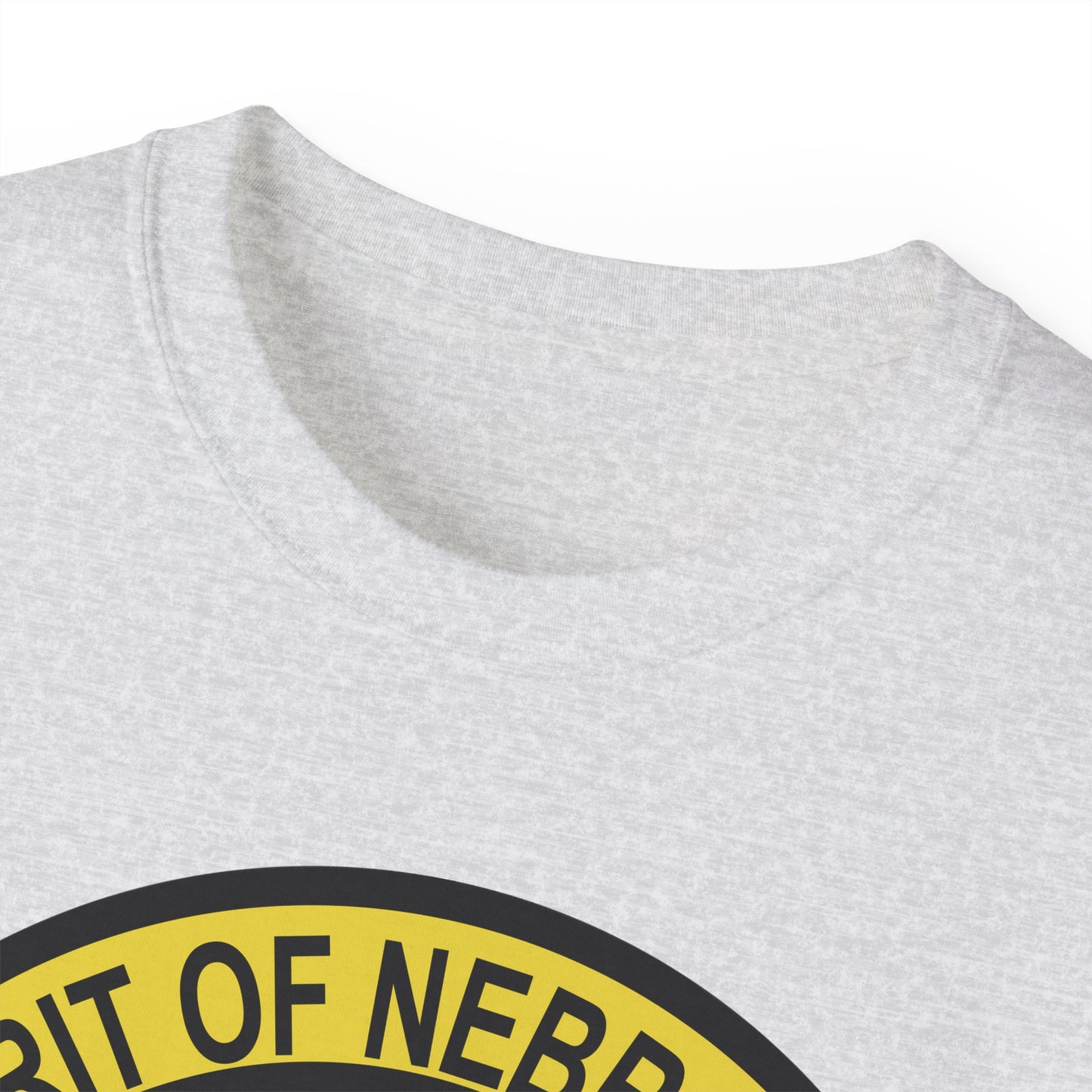 Unisex Ultra Cotton Tee - USAF - B2 - Spirit of Nebraska - Stealth Bomber wo txt X 300