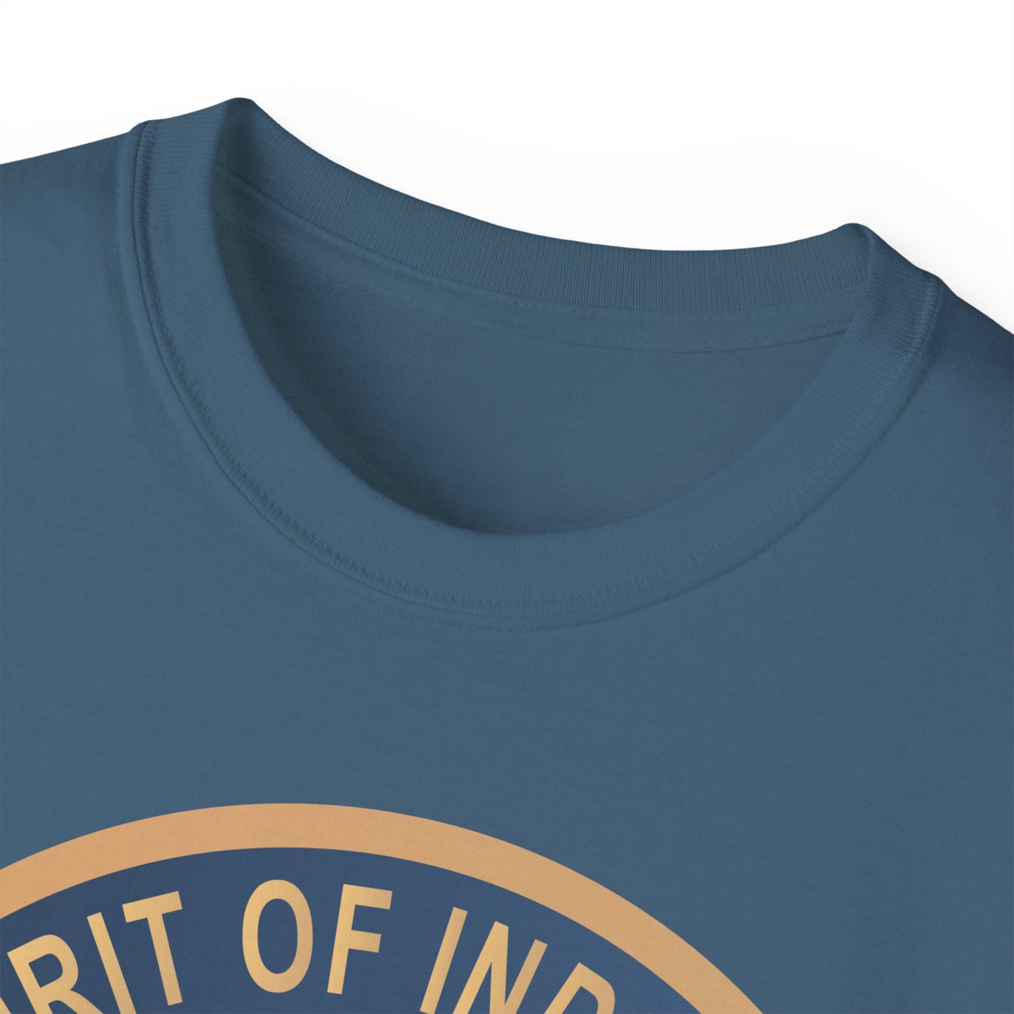 Unisex Ultra Cotton Tee - USAF - B2 - Spirit of Indiana - Stealth Bomber wo txt X 300