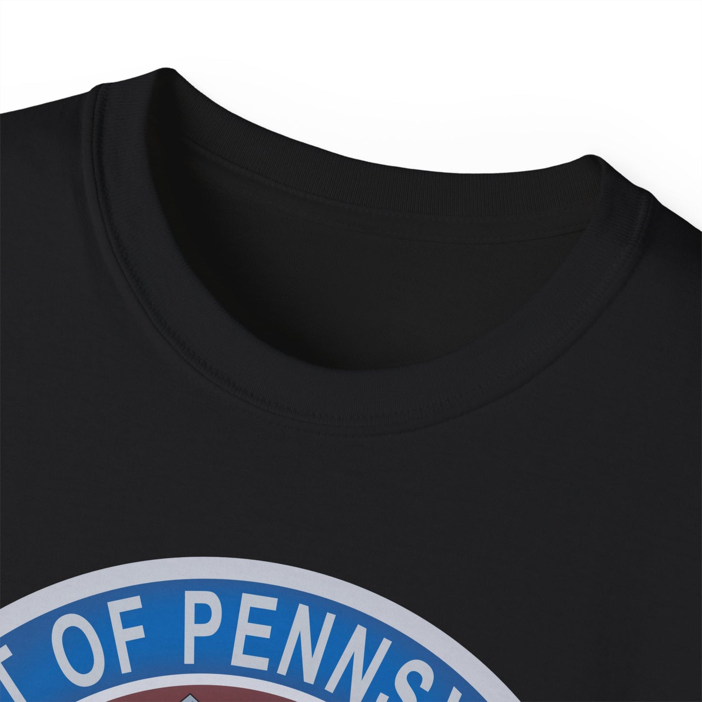 Unisex Ultra Cotton Tee - USAF - B2 - Spirit of Pennsylvania Stealth Bomber wo Txt X 300