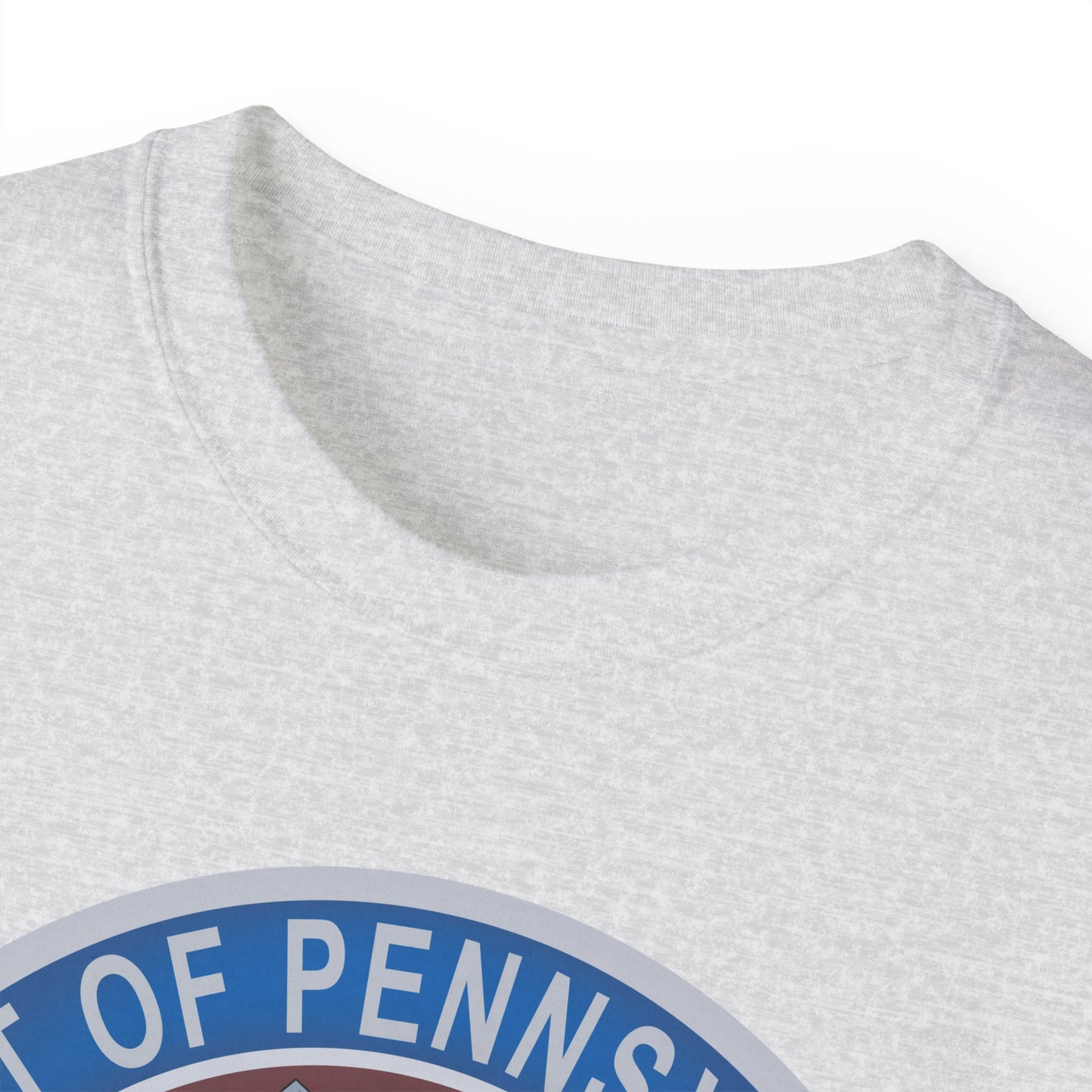 Unisex Ultra Cotton Tee - USAF - B2 - Spirit of Pennsylvania Stealth Bomber wo Txt X 300