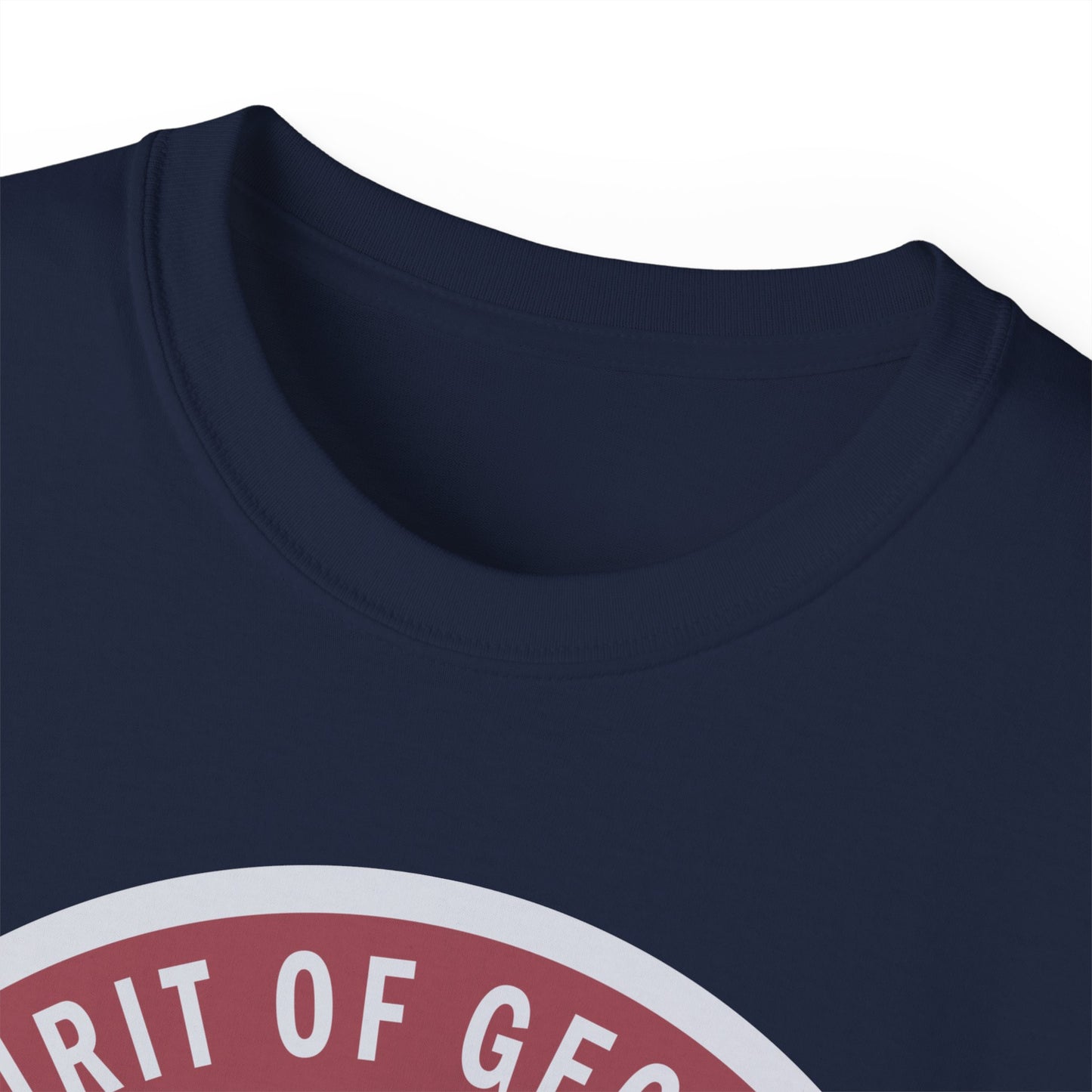 Unisex Ultra Cotton Tee - USAF - B2 - Spirit of Georgia - Stealth Bomber wo txt X 300