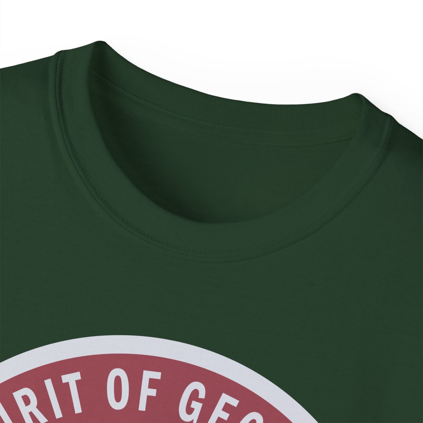 Unisex Ultra Cotton Tee - USAF - B2 - Spirit of Georgia - Stealth Bomber wo txt X 300