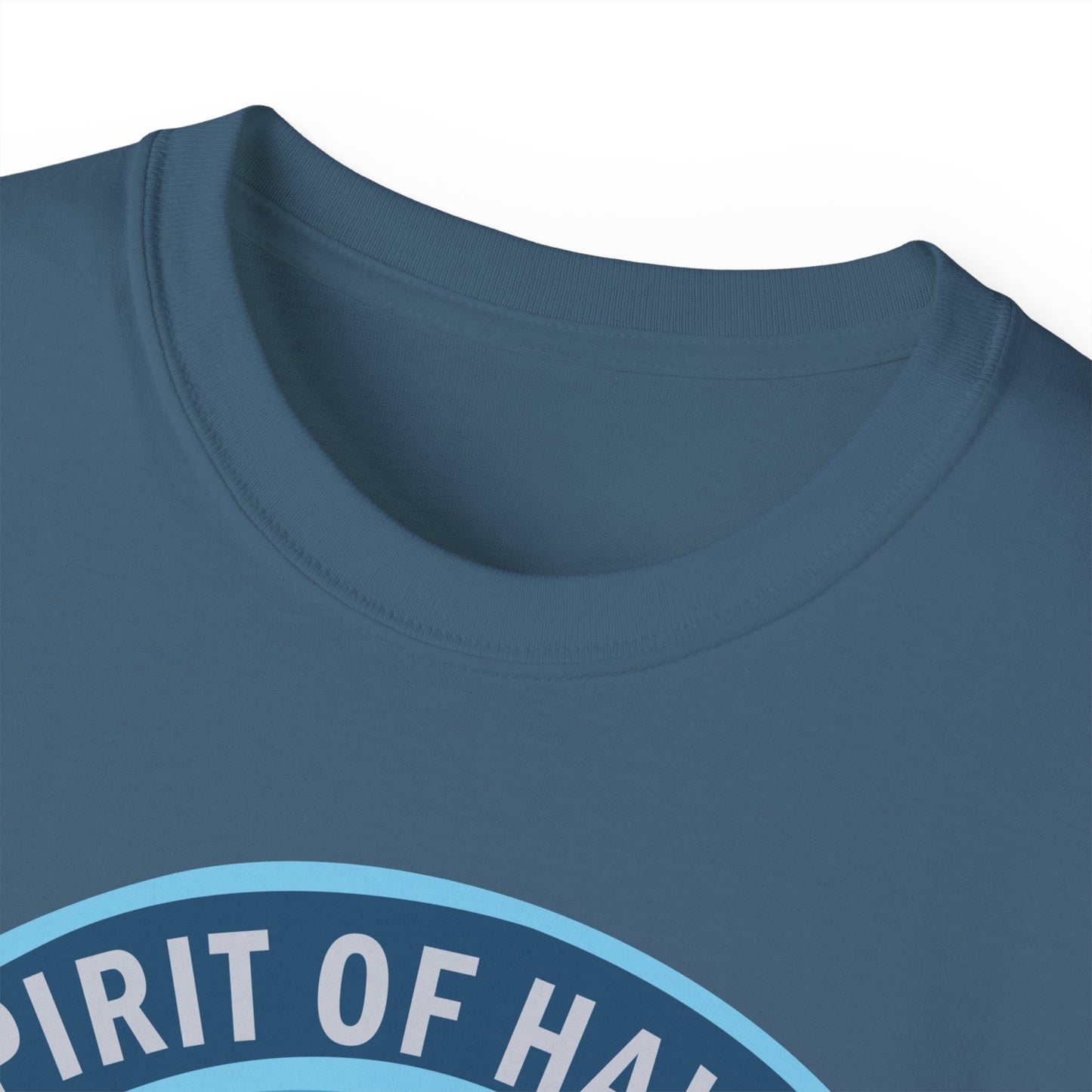 Unisex Ultra Cotton Tee - USAF - B2 - Spirit of Hawaii - Stealth Bomber wo txt X 300