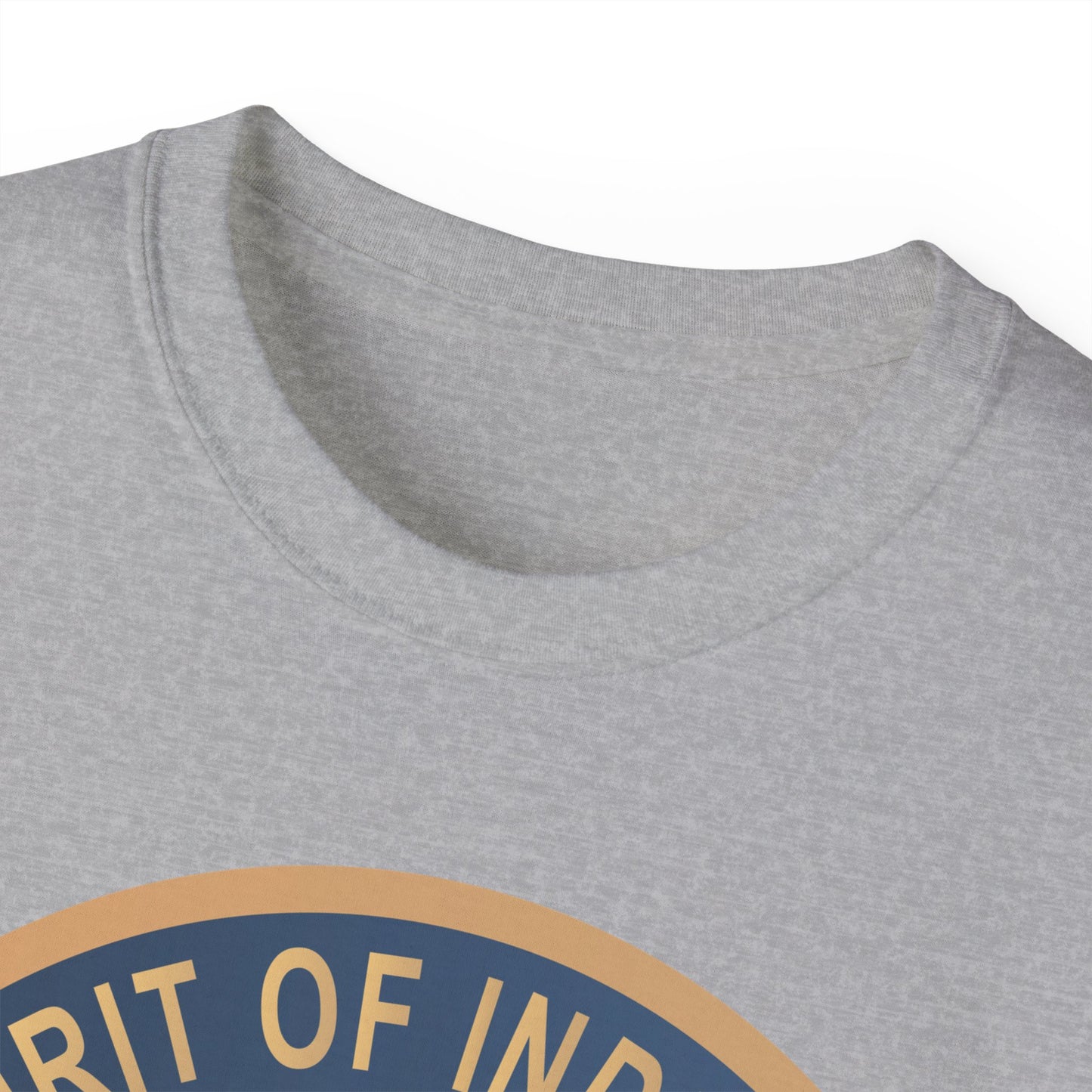 Unisex Ultra Cotton Tee - USAF - B2 - Spirit of Indiana - Stealth Bomber wo txt X 300