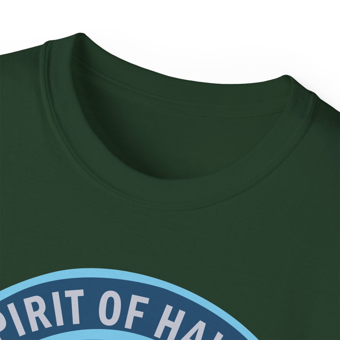 Unisex Ultra Cotton Tee - USAF - B2 - Spirit of Hawaii - Stealth Bomber wo txt X 300