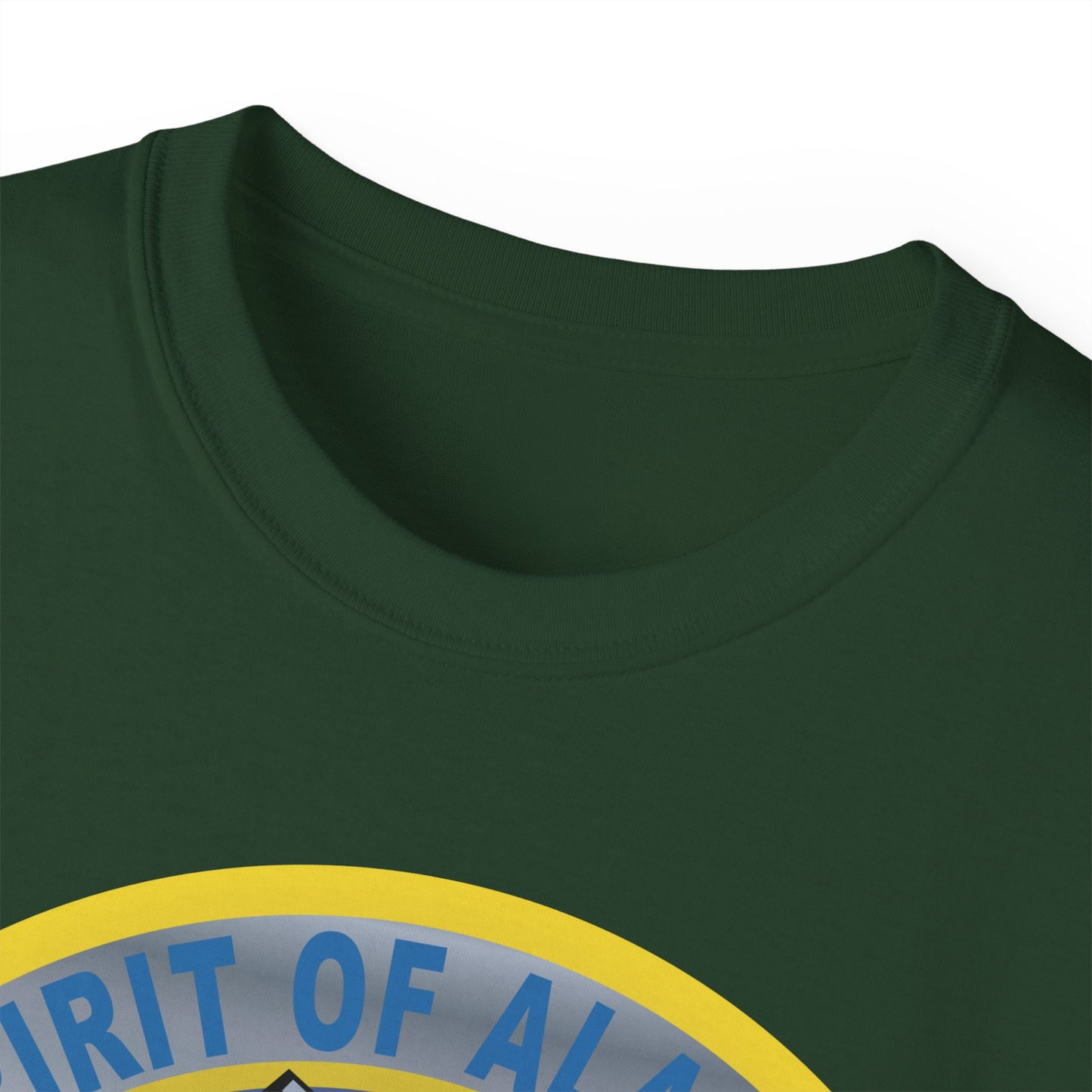 Unisex Ultra Cotton Tee - USAF - B2 - Spirit of Alaska - Stealth Bomber wo txt X 300