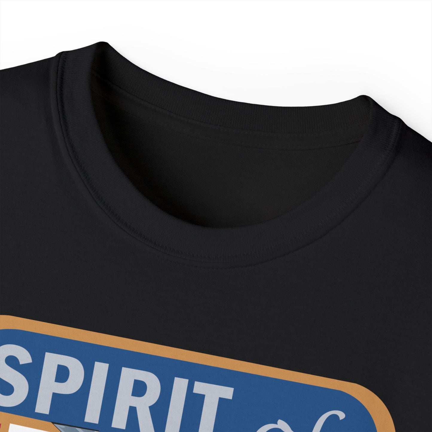 Unisex Ultra Cotton Tee - USAF - B2 - Spirit of California - Stealth Bomber wo txt X 300