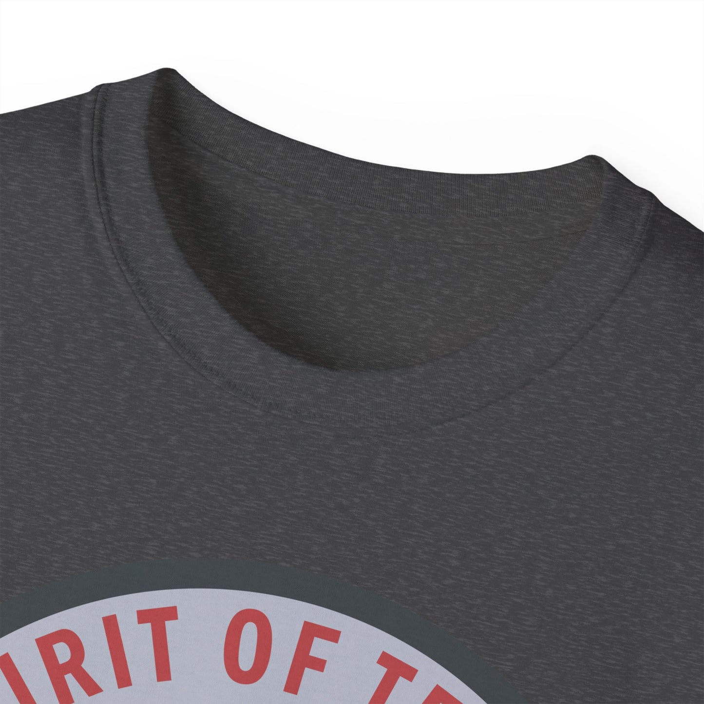 Unisex Ultra Cotton Tee - USAF - B2 - Spirit of Texas - Stealth Bomber wo txt X 300