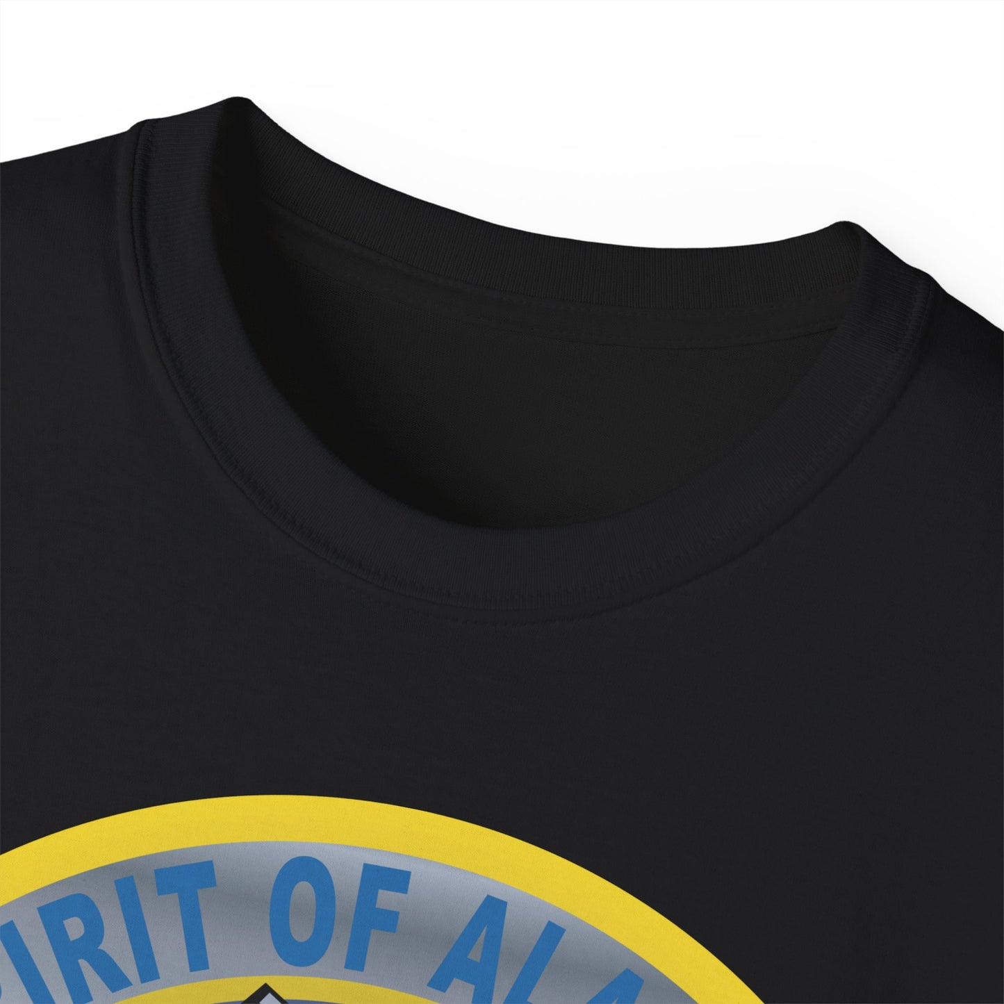 Unisex Ultra Cotton Tee - USAF - B2 - Spirit of Alaska - Stealth Bomber wo txt X 300