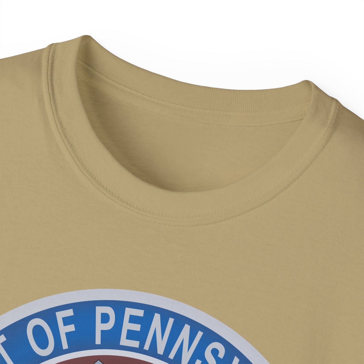 Unisex Ultra Cotton Tee - USAF - B2 - Spirit of Pennsylvania Stealth Bomber wo Txt X 300