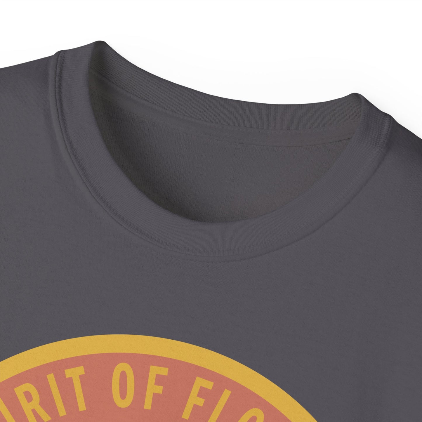 Unisex Ultra Cotton Tee - USAF - B2 - Spirit of Florida - Stealth Bomber wo txt X 300