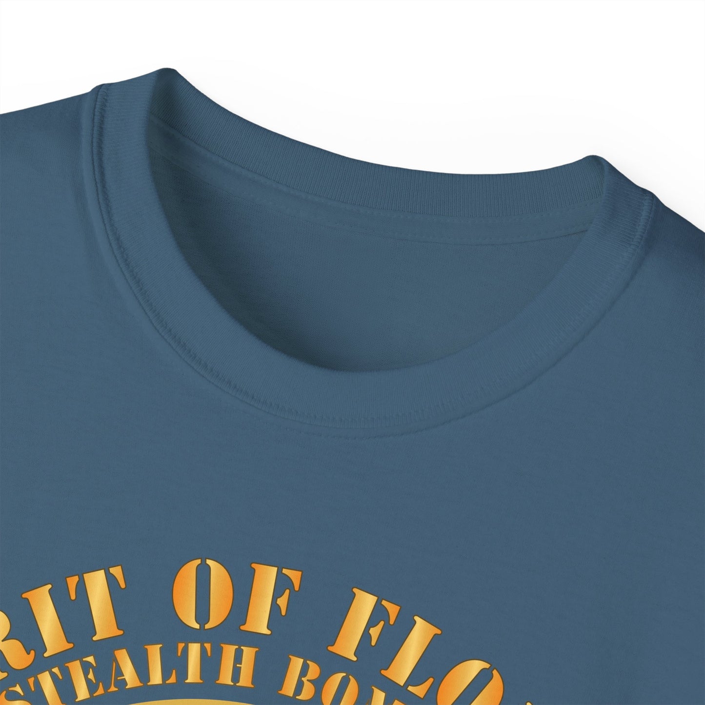 Unisex Ultra Cotton Tee - USAF - B2 - Spirit of Florida - Stealth Bomber X 300