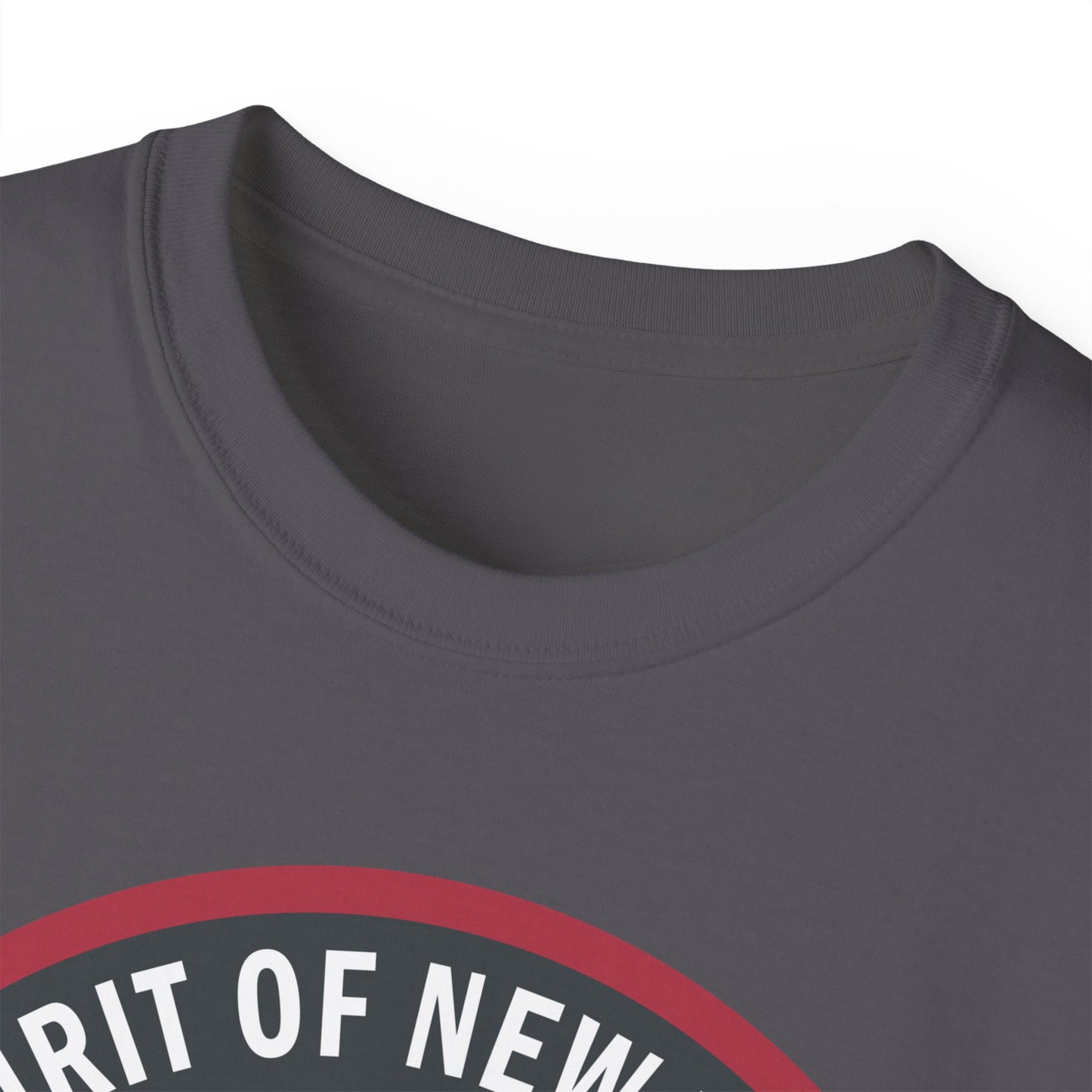 Unisex Ultra Cotton Tee - USAF - B2 - Spirit of New York - Stealth Bomber wo txt X 300