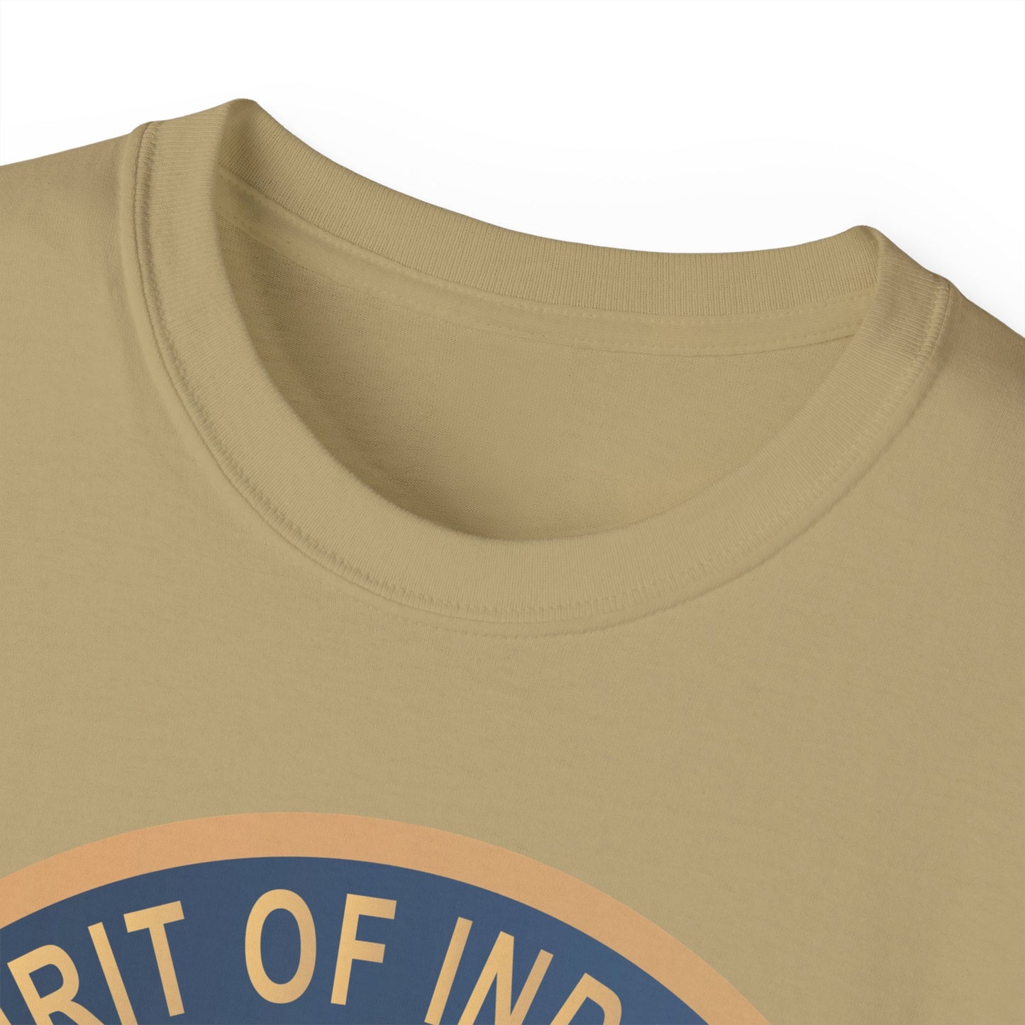 Unisex Ultra Cotton Tee - USAF - B2 - Spirit of Indiana - Stealth Bomber wo txt X 300
