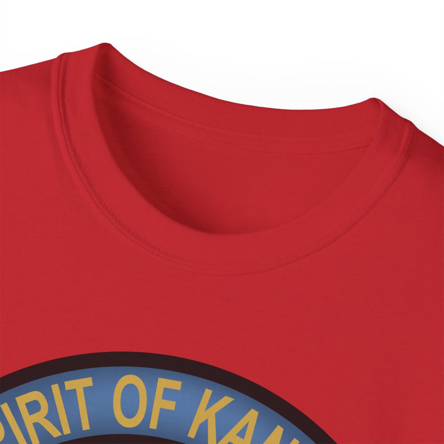 Unisex Ultra Cotton Tee - USAF - B2 - Spirit of Kansas - Stealth Bomber wo txt X 300
