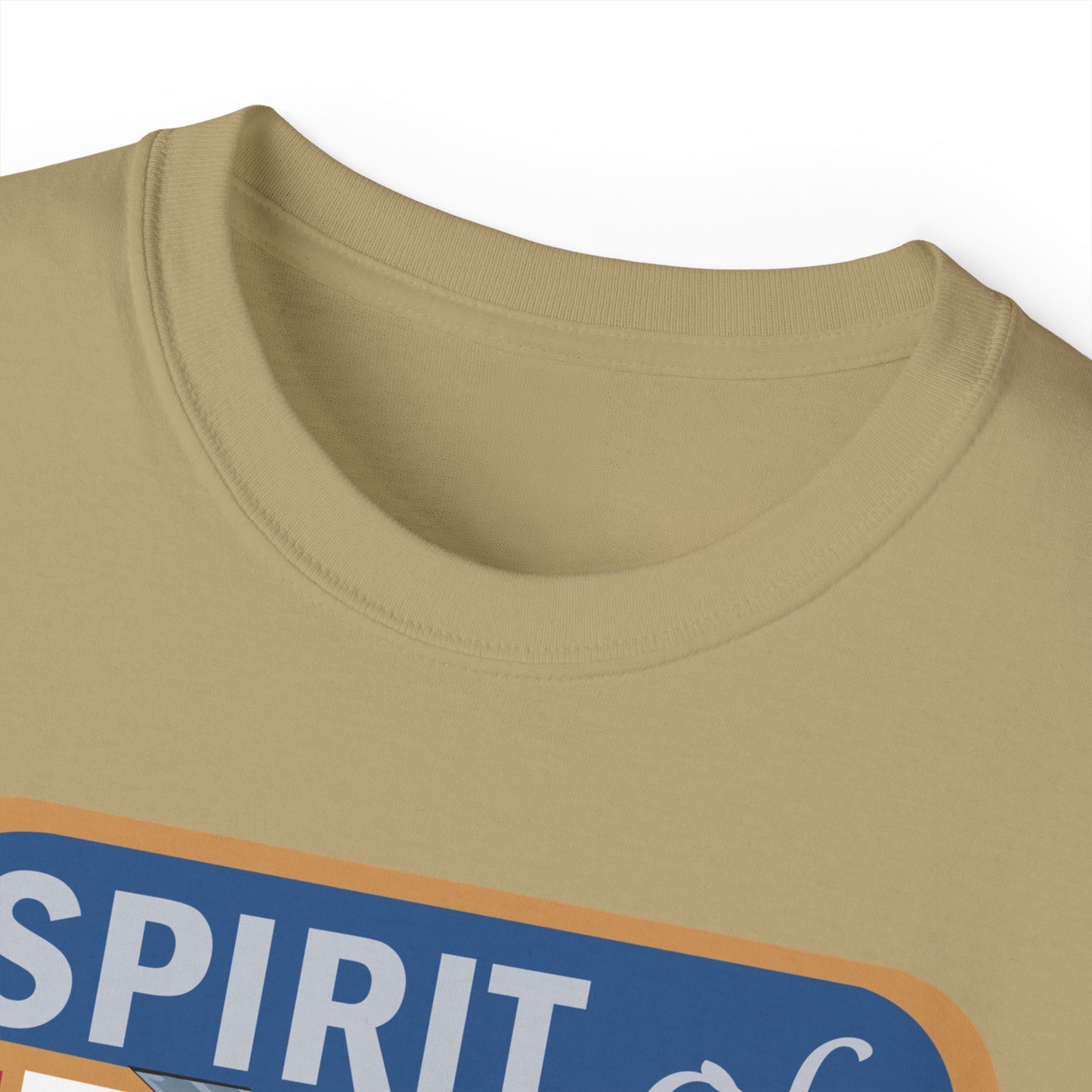 Unisex Ultra Cotton Tee - USAF - B2 - Spirit of California - Stealth Bomber wo txt X 300
