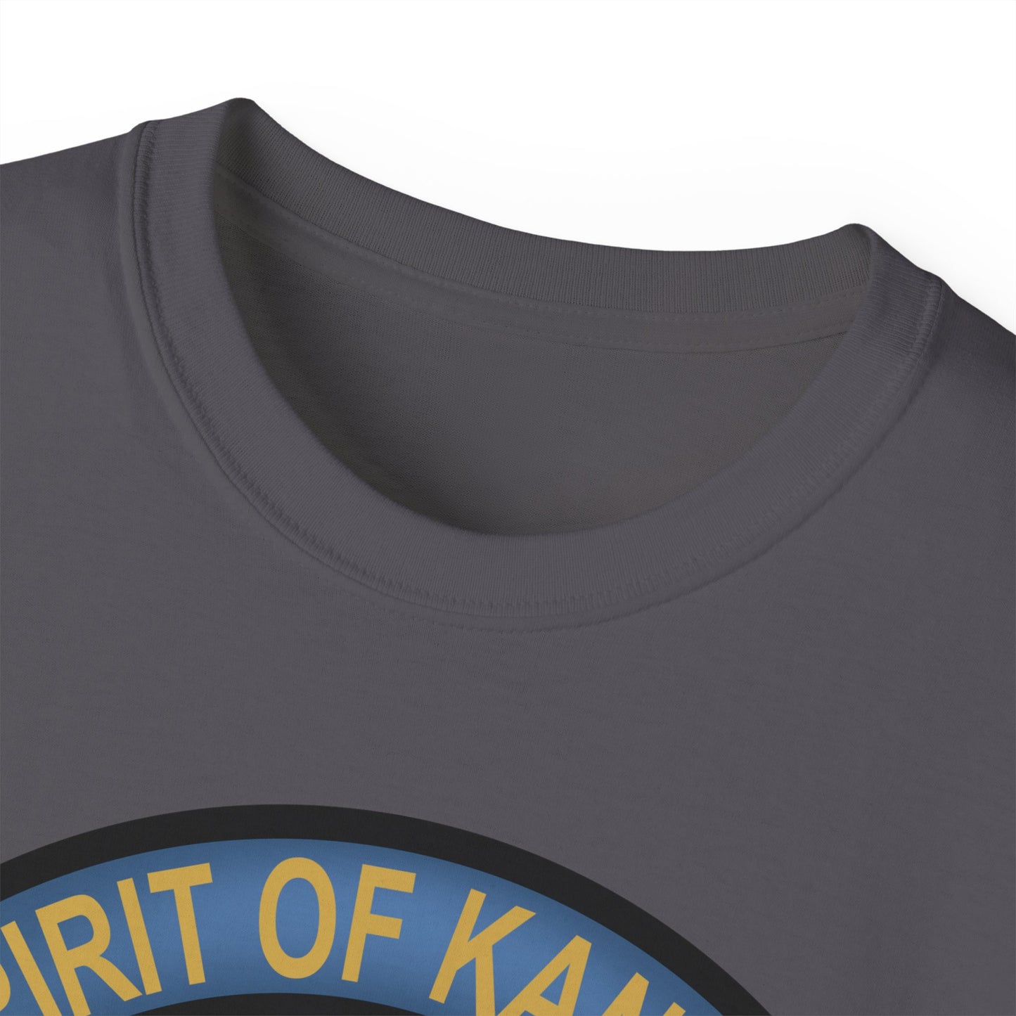 Unisex Ultra Cotton Tee - USAF - B2 - Spirit of Kansas - Stealth Bomber wo txt X 300