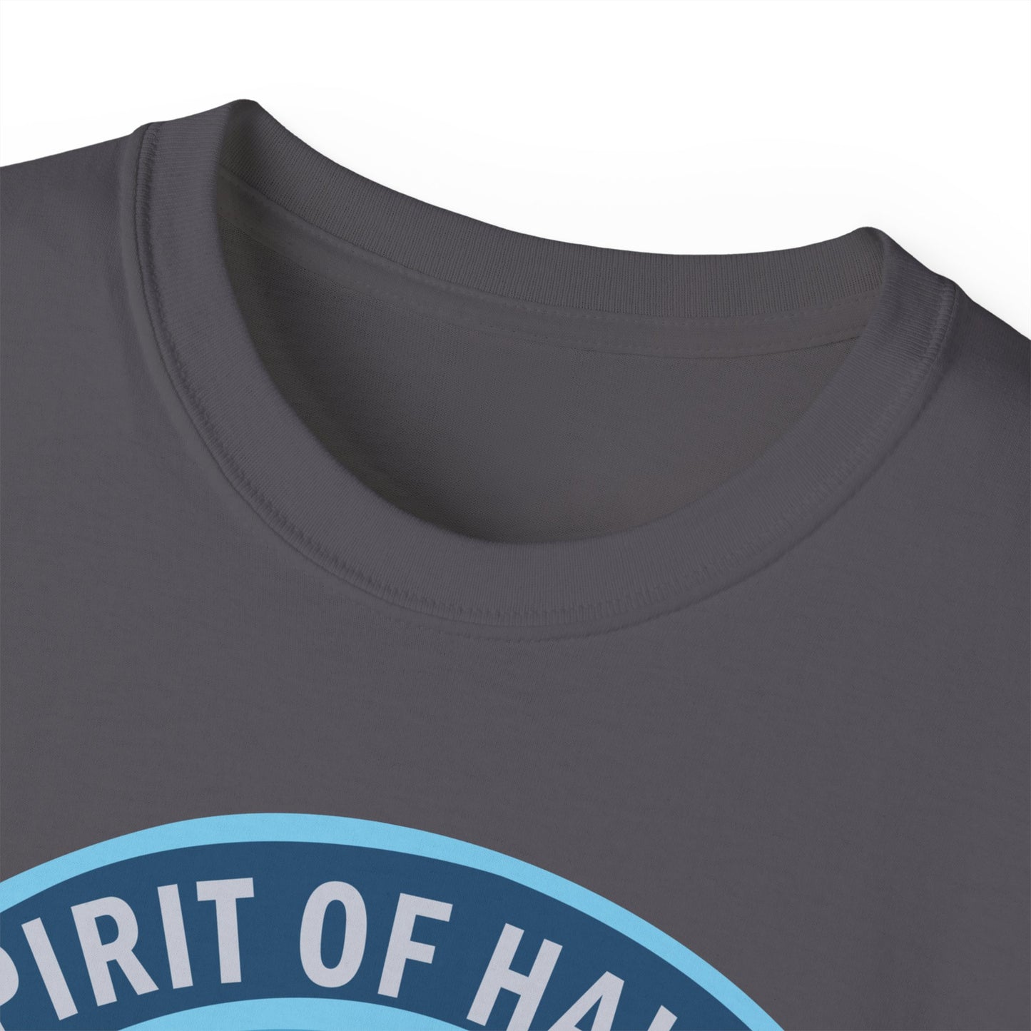 Unisex Ultra Cotton Tee - USAF - B2 - Spirit of Hawaii - Stealth Bomber wo txt X 300