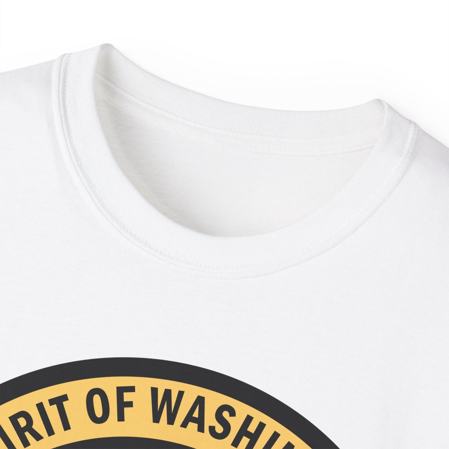 Unisex Ultra Cotton Tee - USAF - B2 - Spirit of Washington - Stealth Bomber wo txt X 300