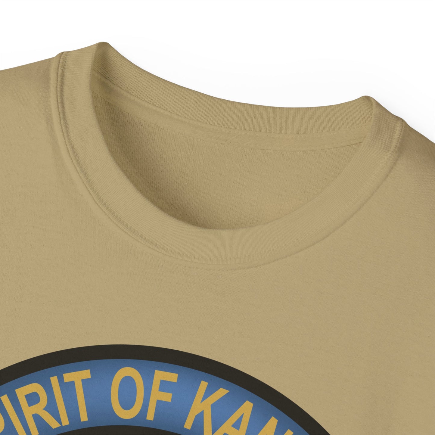 Unisex Ultra Cotton Tee - USAF - B2 - Spirit of Kansas - Stealth Bomber wo txt X 300