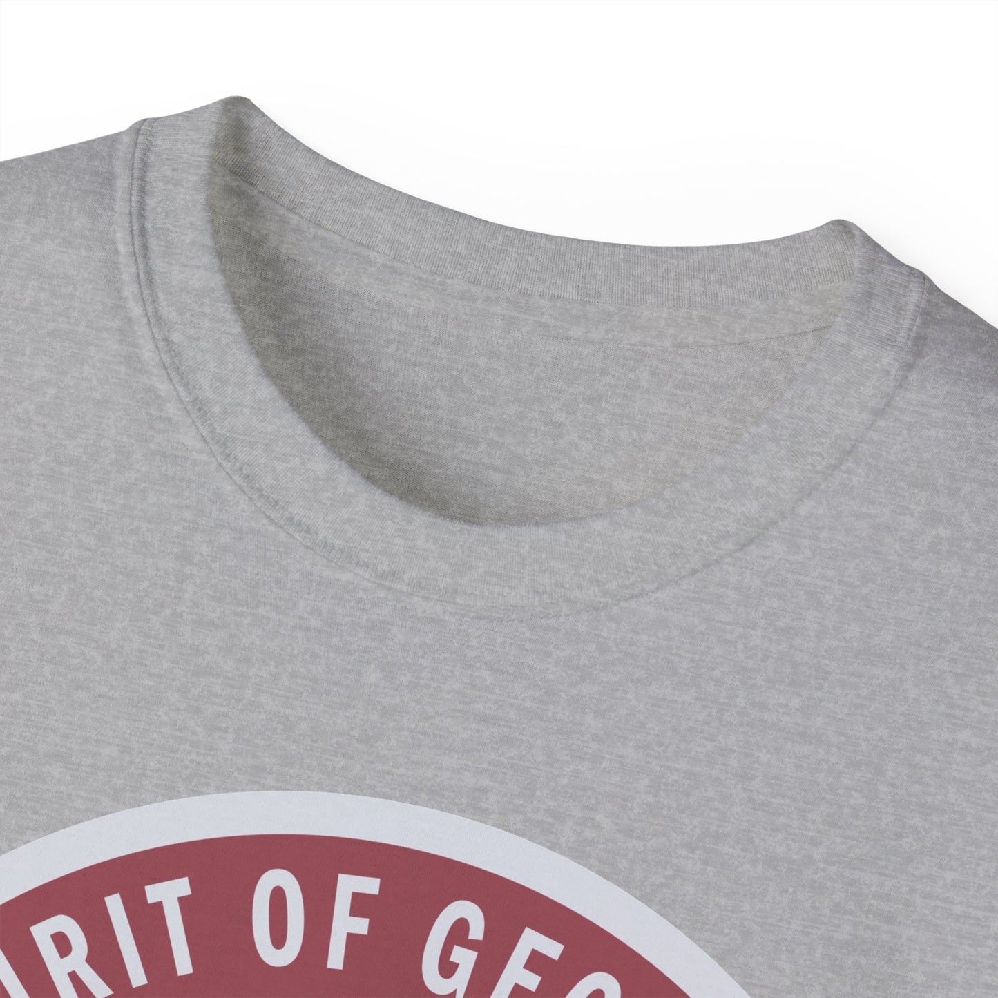 Unisex Ultra Cotton Tee - USAF - B2 - Spirit of Georgia - Stealth Bomber wo txt X 300