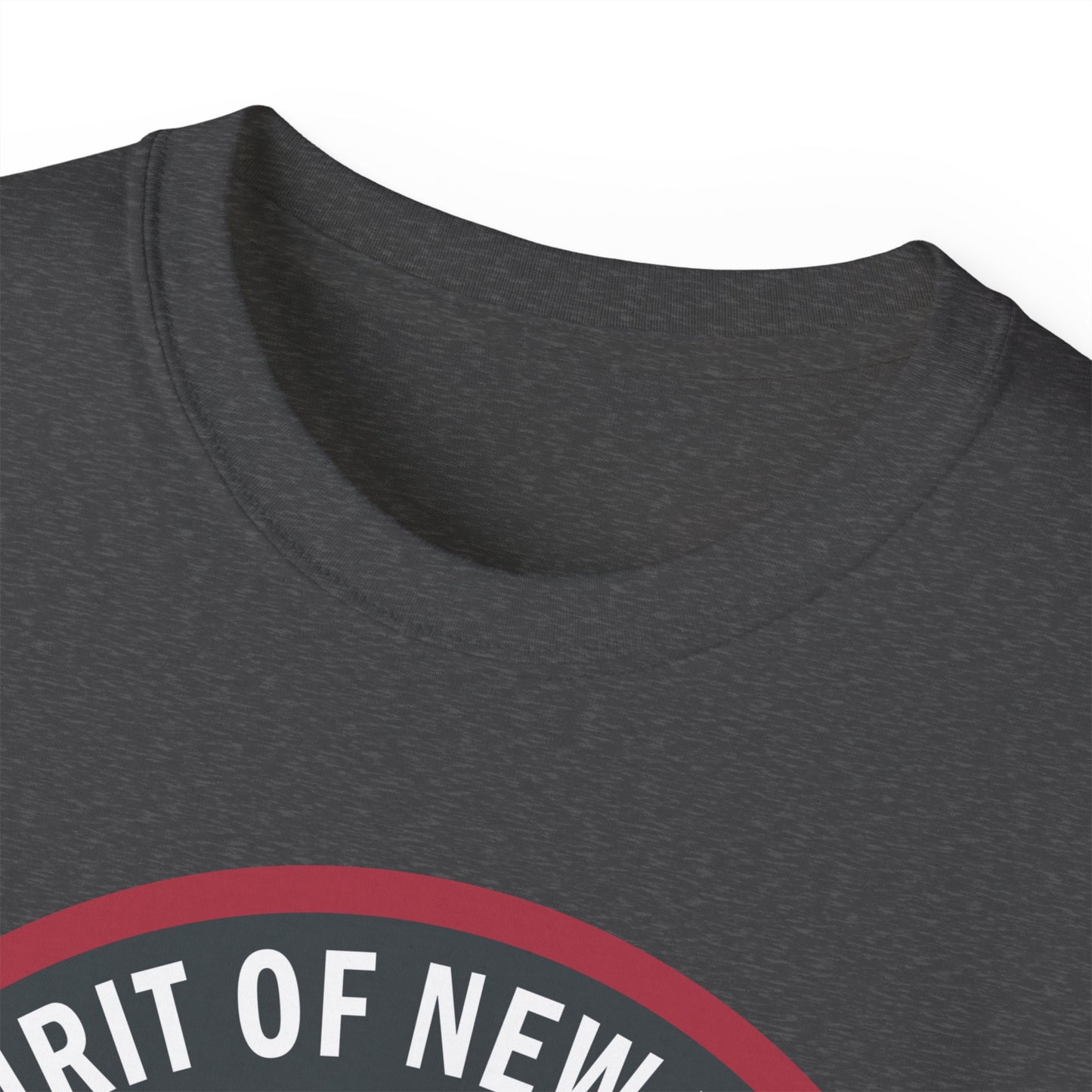Unisex Ultra Cotton Tee - USAF - B2 - Spirit of New York - Stealth Bomber wo txt X 300