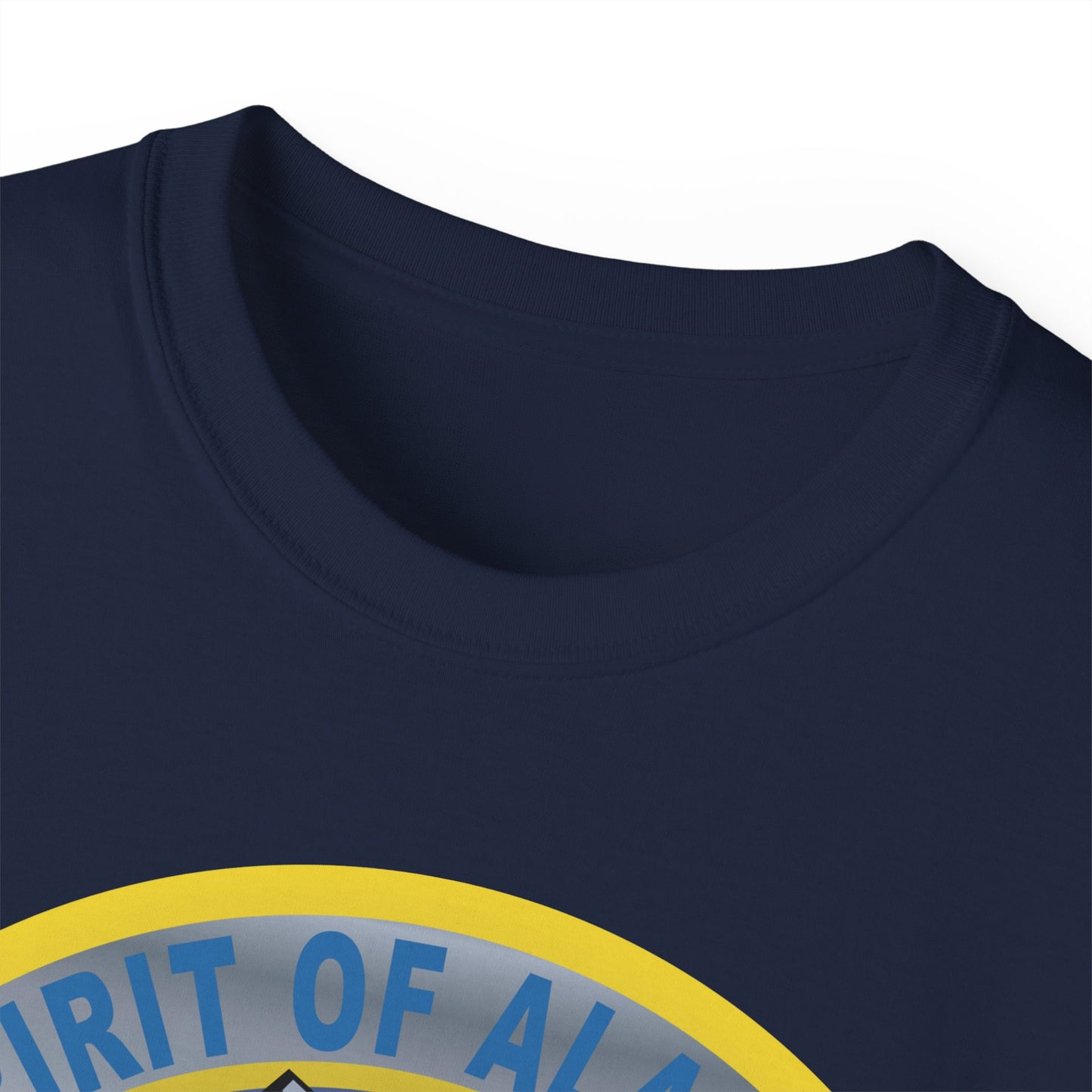Unisex Ultra Cotton Tee - USAF - B2 - Spirit of Alaska - Stealth Bomber wo txt X 300