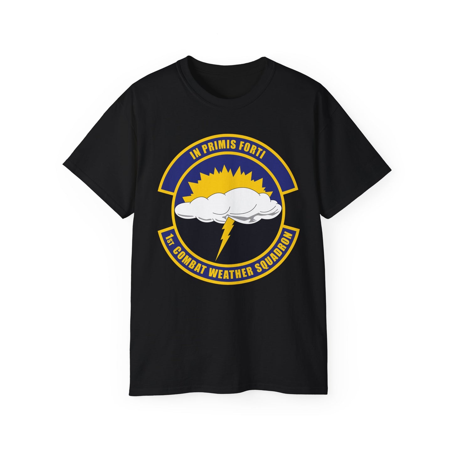Unisex Ultra Cotton Tee -USAF - 1st Combat Weather Squadron (PACAF) wo txt