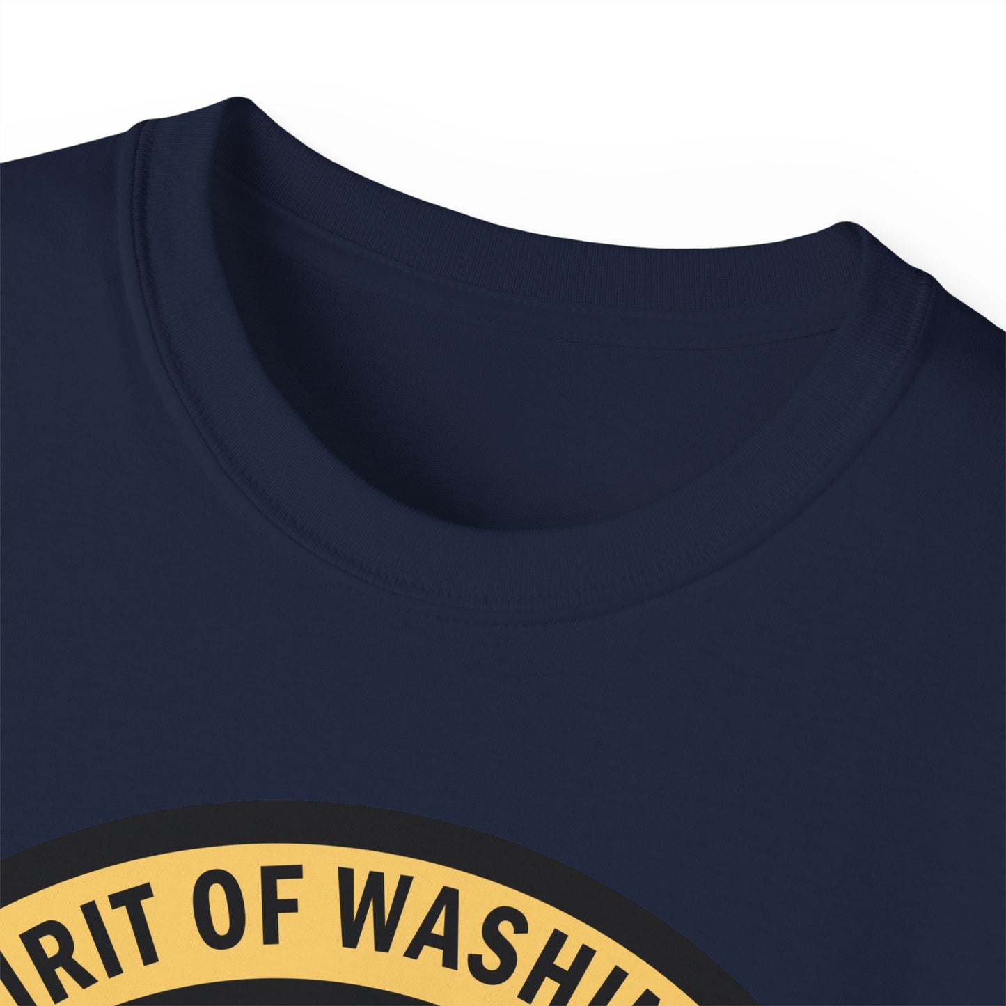 Unisex Ultra Cotton Tee - USAF - B2 - Spirit of Washington - Stealth Bomber wo txt X 300