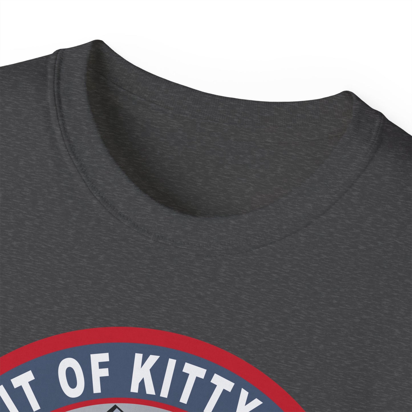Unisex Ultra Cotton Tee -USAF - B2 - Spirit of Kitty Hawk - Stealth Bomber wo txt X 300