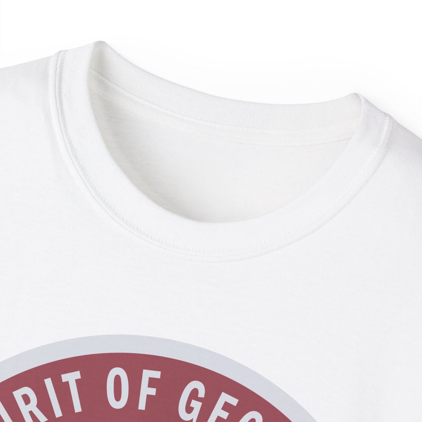 Unisex Ultra Cotton Tee - USAF - B2 - Spirit of Georgia - Stealth Bomber wo txt X 300