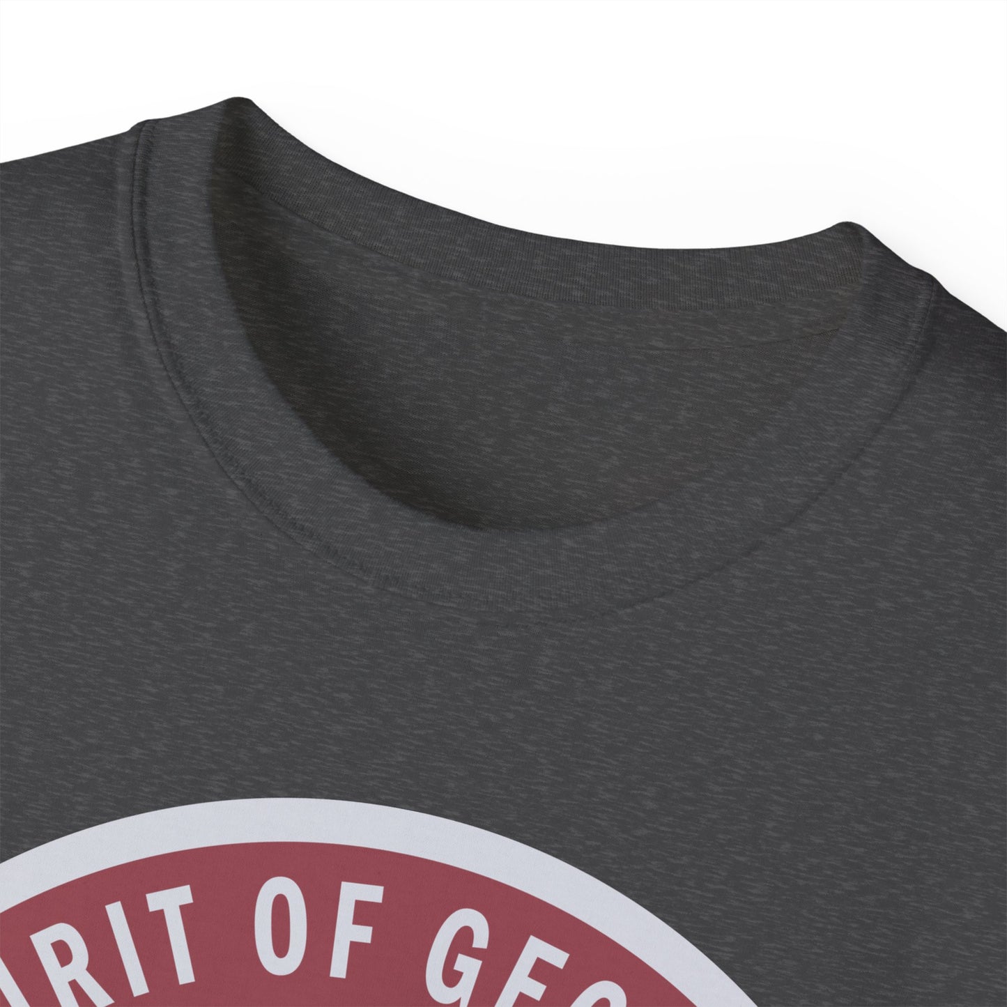 Unisex Ultra Cotton Tee - USAF - B2 - Spirit of Georgia - Stealth Bomber wo txt X 300