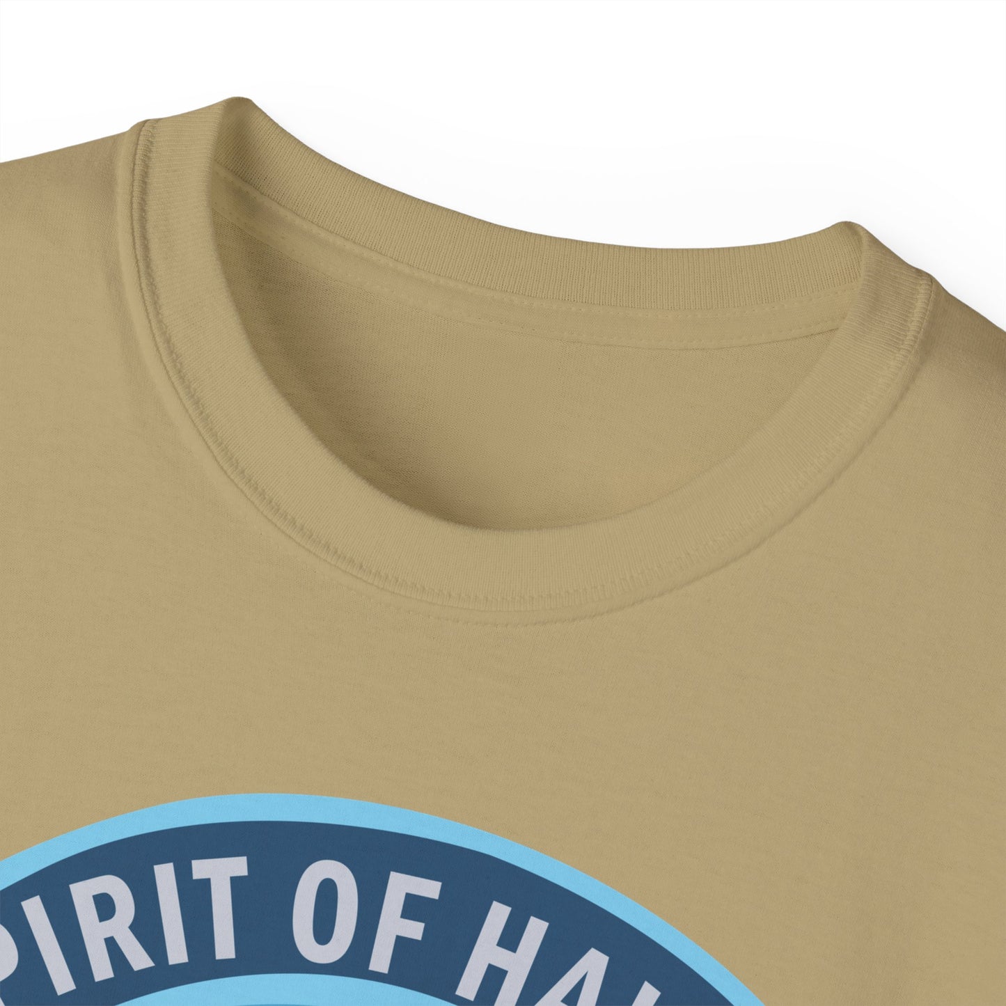 Unisex Ultra Cotton Tee - USAF - B2 - Spirit of Hawaii - Stealth Bomber wo txt X 300