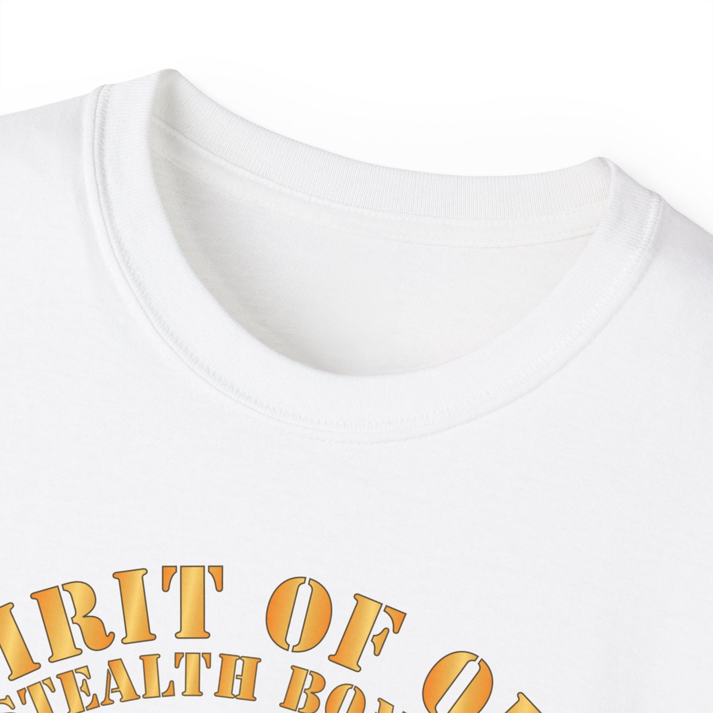 Unisex Ultra Cotton Tee - USAF - B2 - Spirit of Ohio - Stealth Bomber X 300