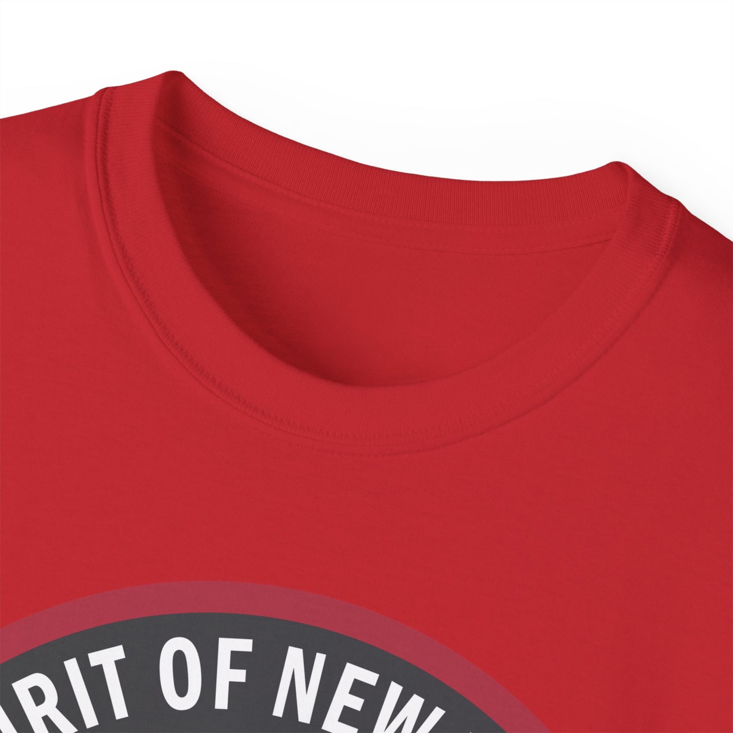 Unisex Ultra Cotton Tee - USAF - B2 - Spirit of New York - Stealth Bomber wo txt X 300