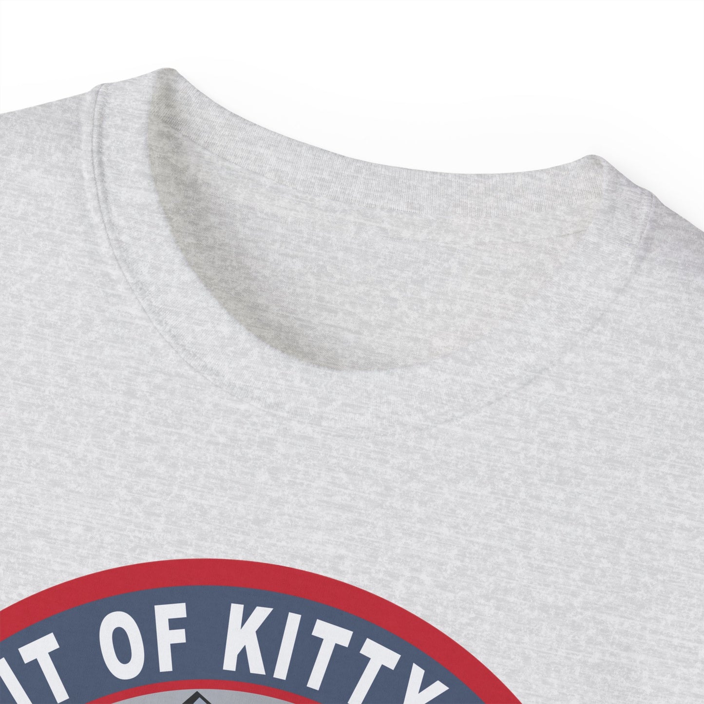 Unisex Ultra Cotton Tee -USAF - B2 - Spirit of Kitty Hawk - Stealth Bomber wo txt X 300