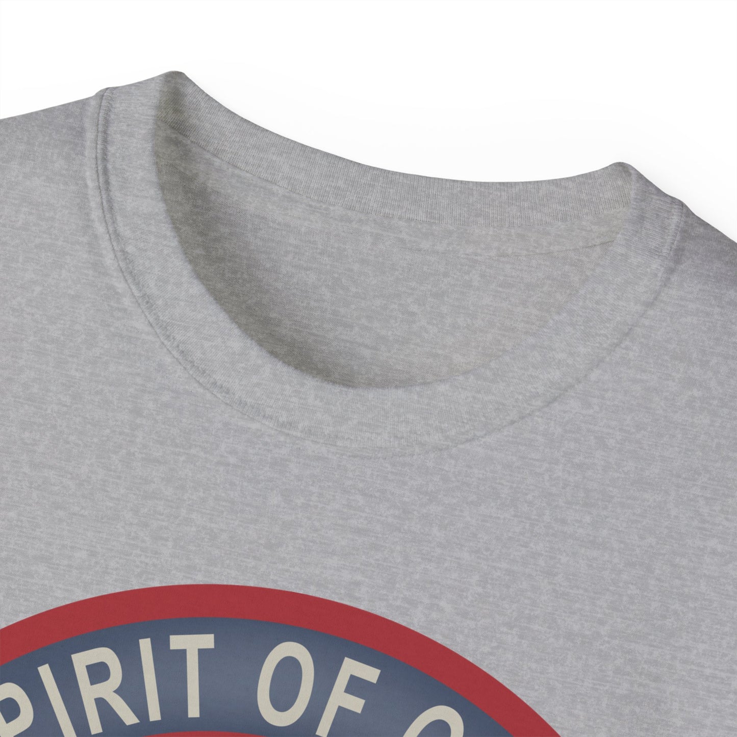 Unisex Ultra Cotton Tee - USAF - B2 - Spirit of Ohio - Stealth Bomber wo txt X 300